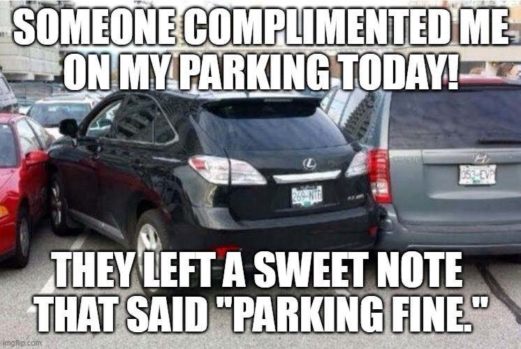 Good parking job r/puns