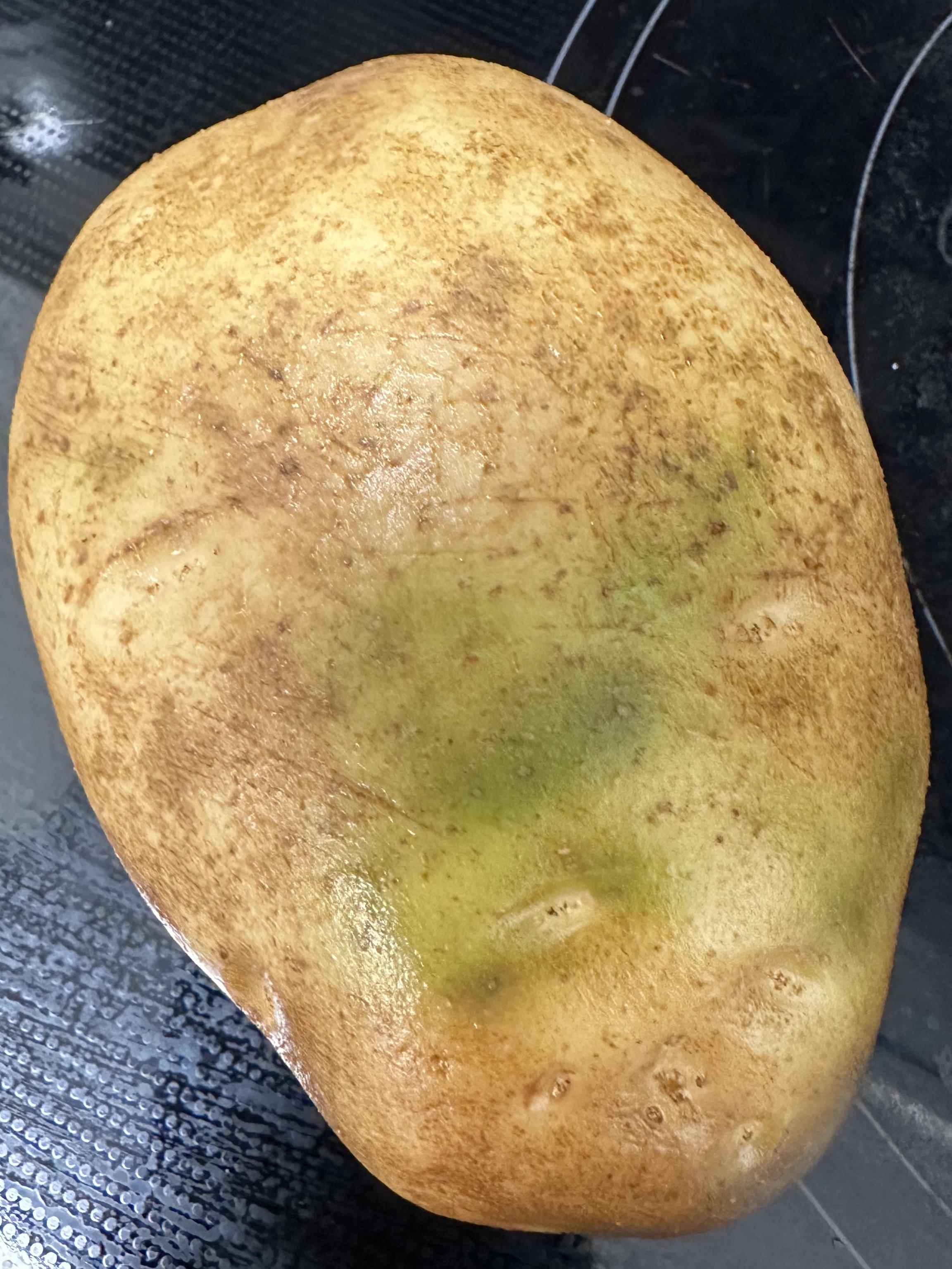 Green discolouration on potatoes is cause by Solanine which is a toxic to humans r