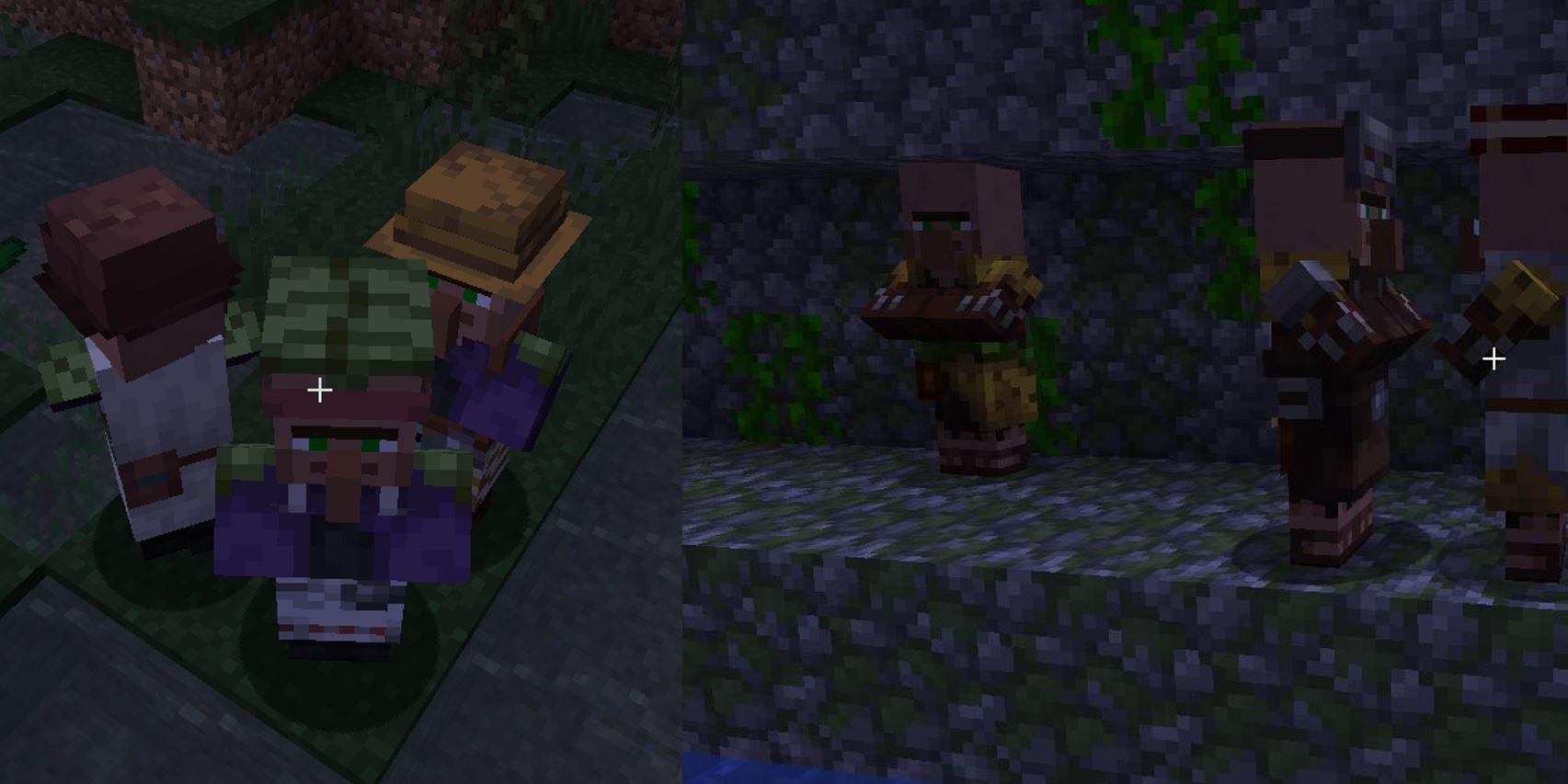 Villager skins adapt to where you spawn them, swamp and jungle villages