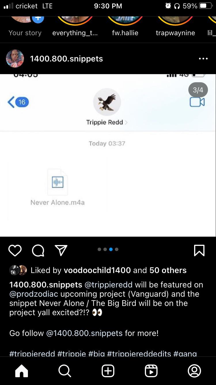 AYE ALL YALL WAKE UP WTF DOES THIS MEAN?? Wtf is a vanguard and is it a