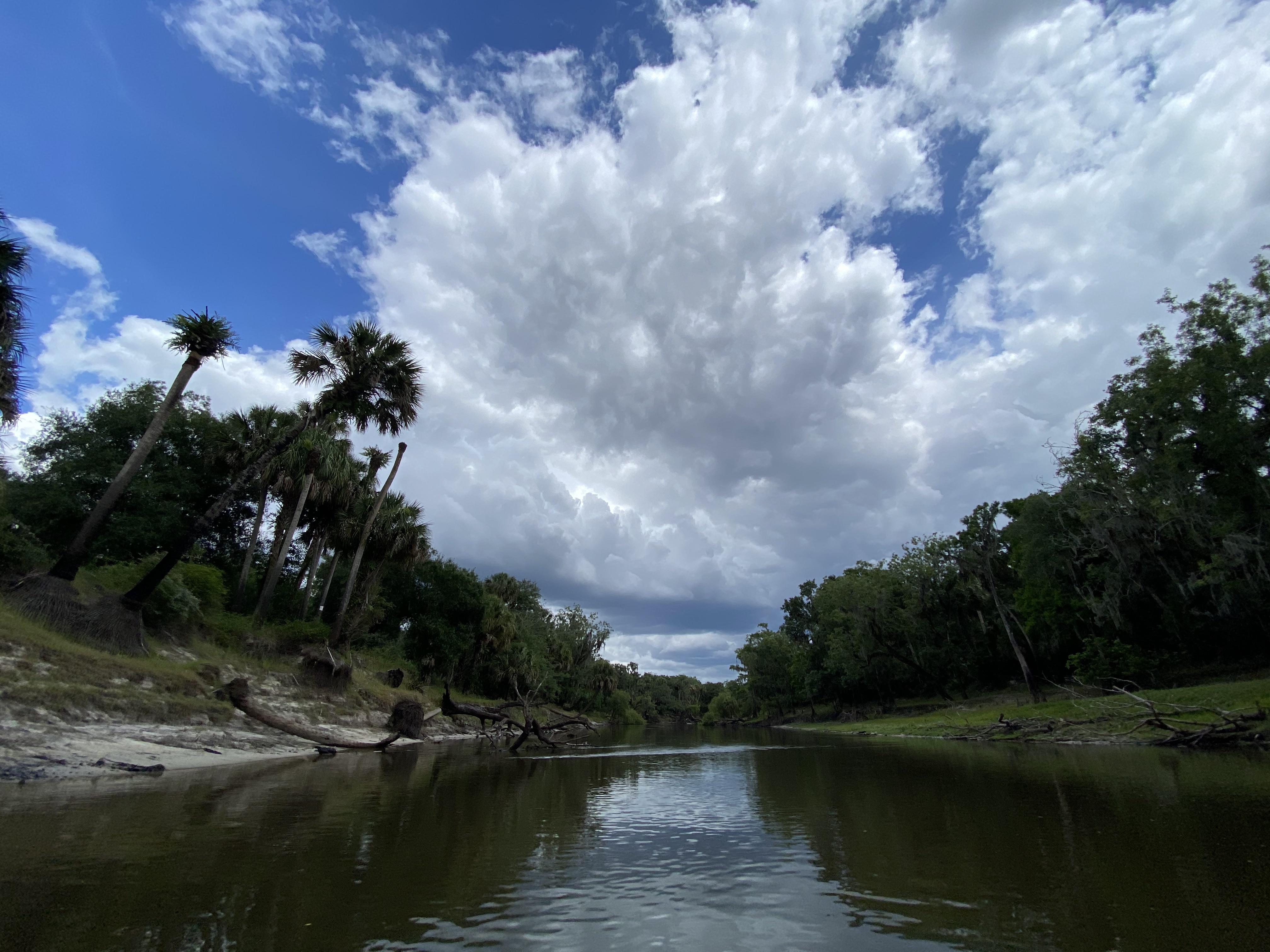 Peace River r/florida