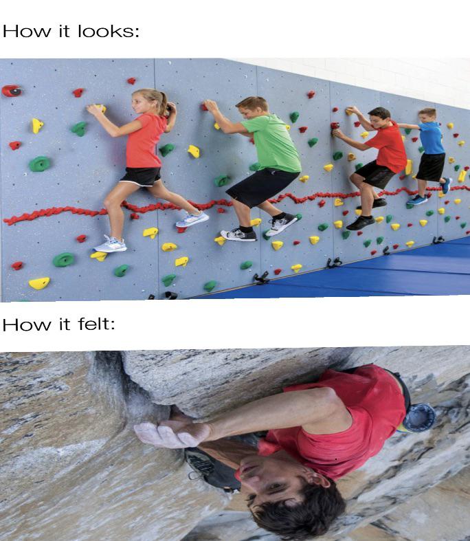 Professional mountain climber r/memes