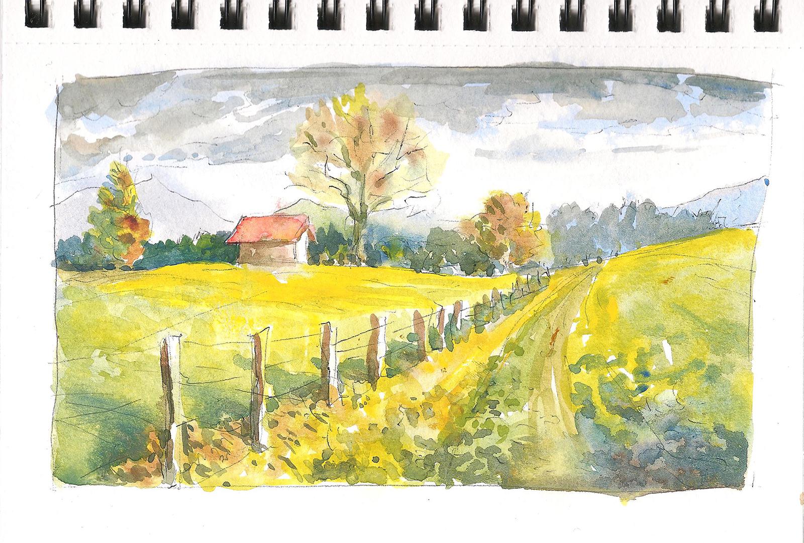 ballpoint pen and watercolor sketch on Canson XL r/Watercolor