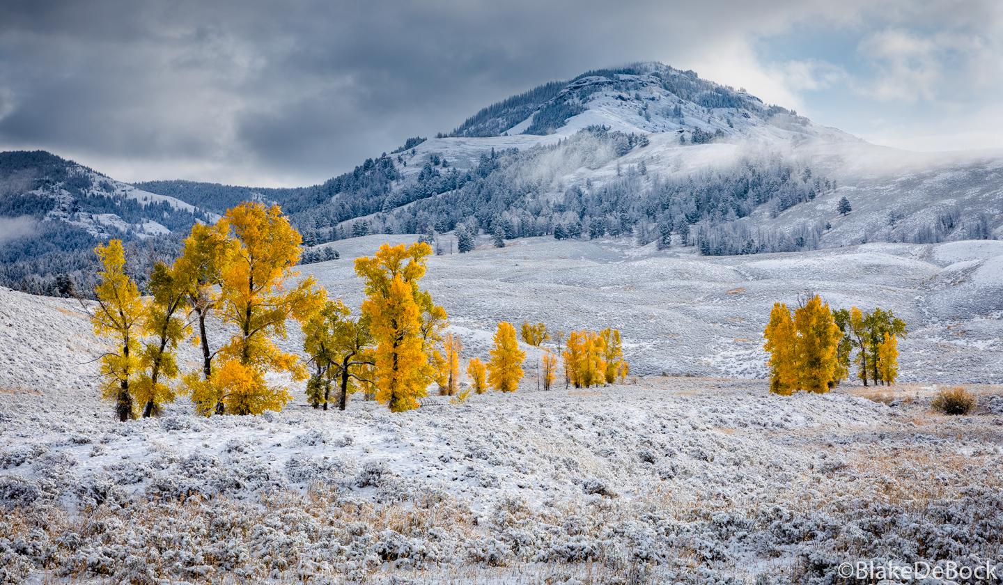 First snow in Yellowstone's Lamar Valley Blake DeBock Photography [1440x840][OC] r/EarthPorn