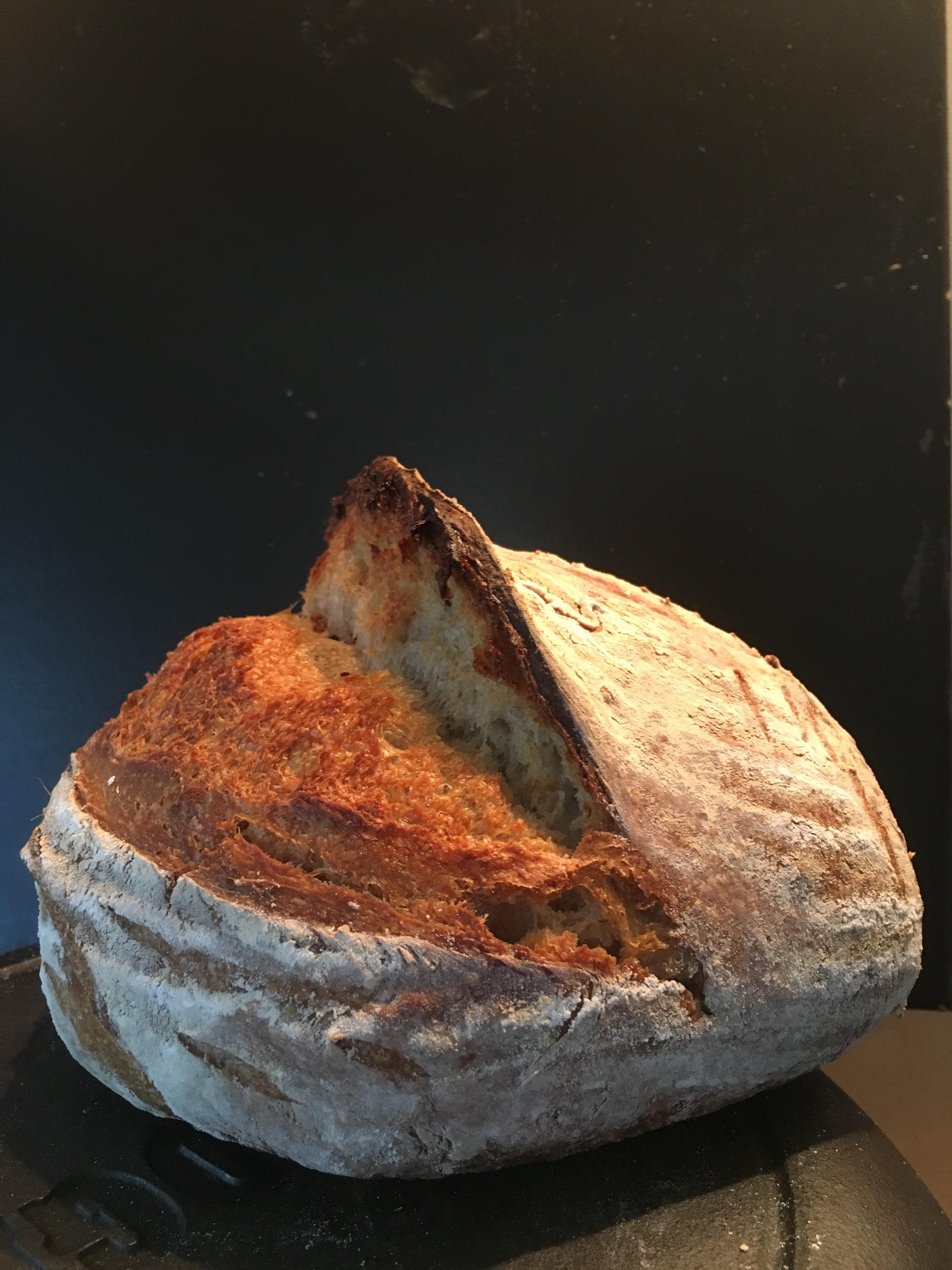 Bunnystyle sourdough, with ear at full attention! It’s gonna be a good