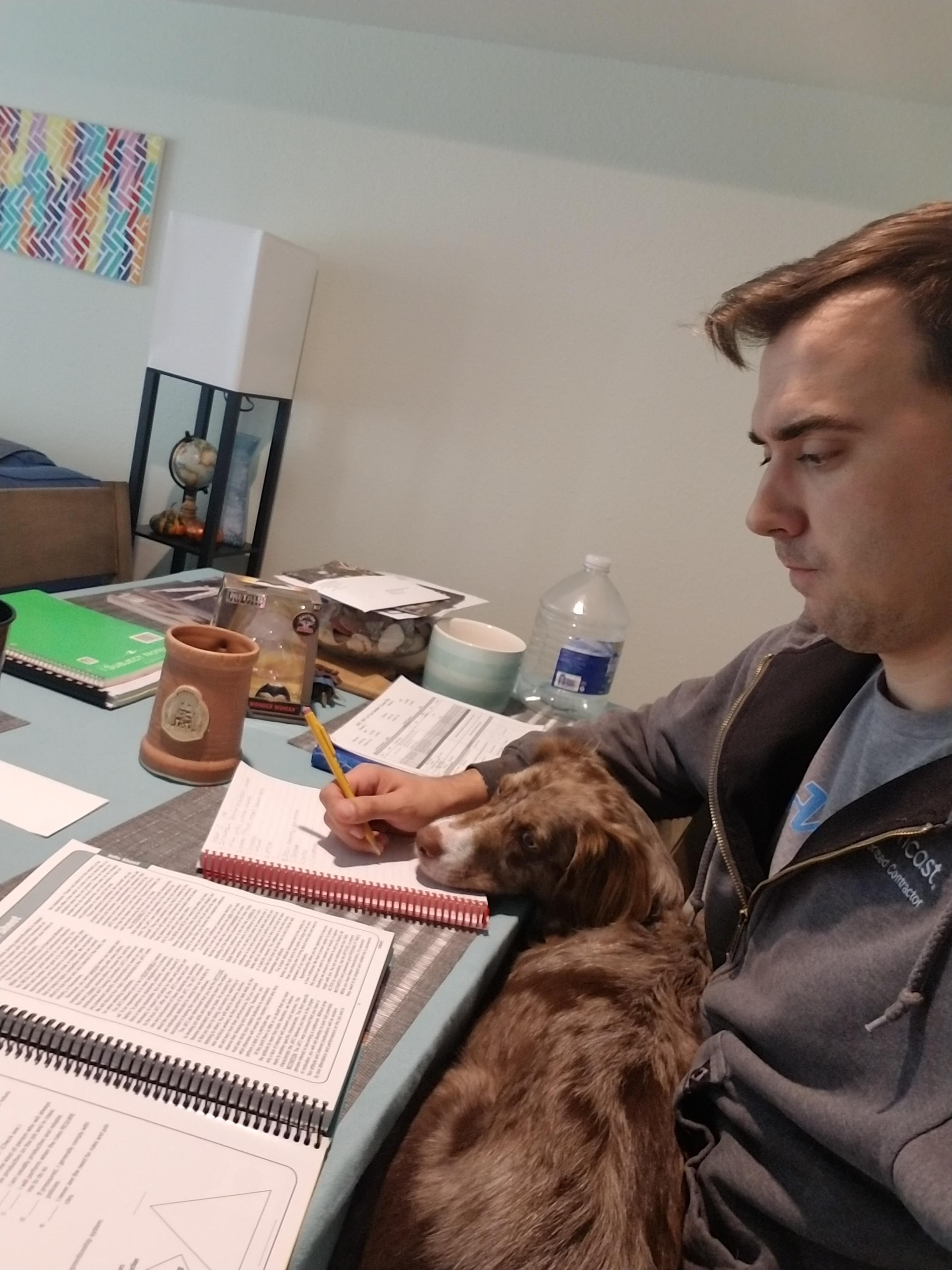 The difficulties of having a dog and having homework at the same time