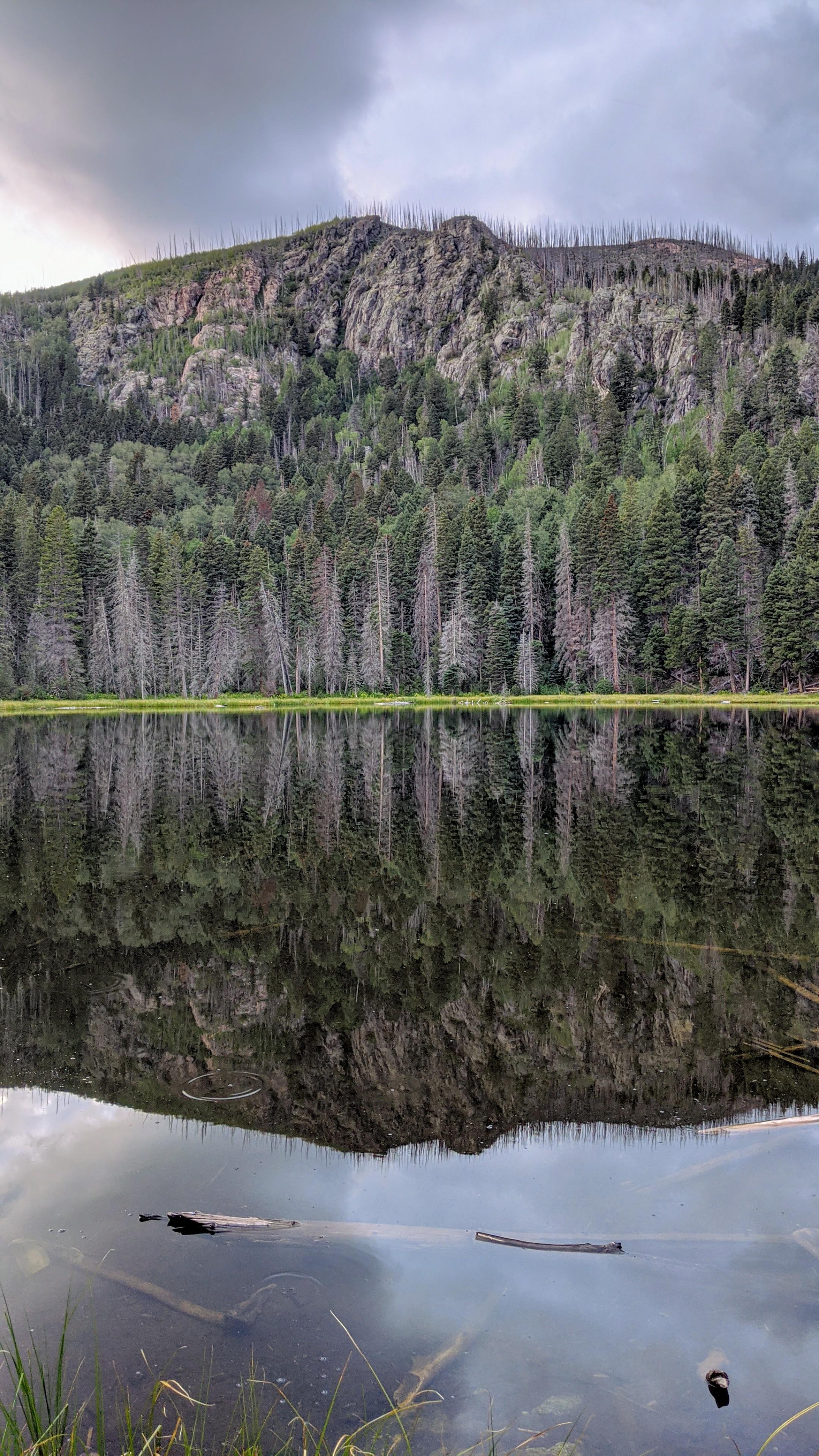 Lost Lake, Santa Fe National Forest r/NewMexico
