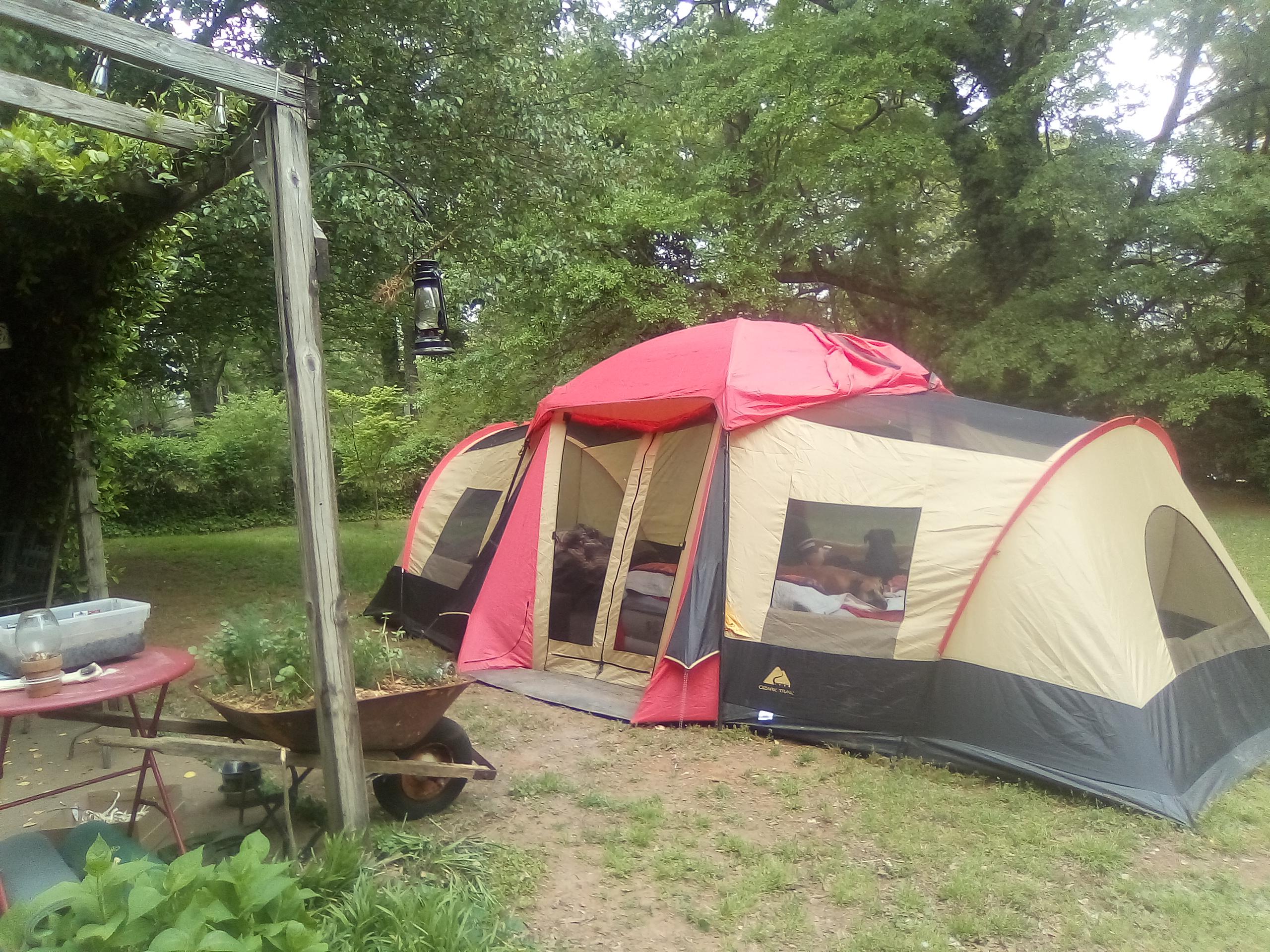 Backyard camping in North Atlanta