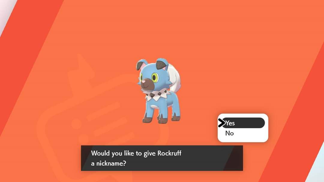 Finally! After over 1000 eggs, I got a Shiny Own Tempo Rockruff! r