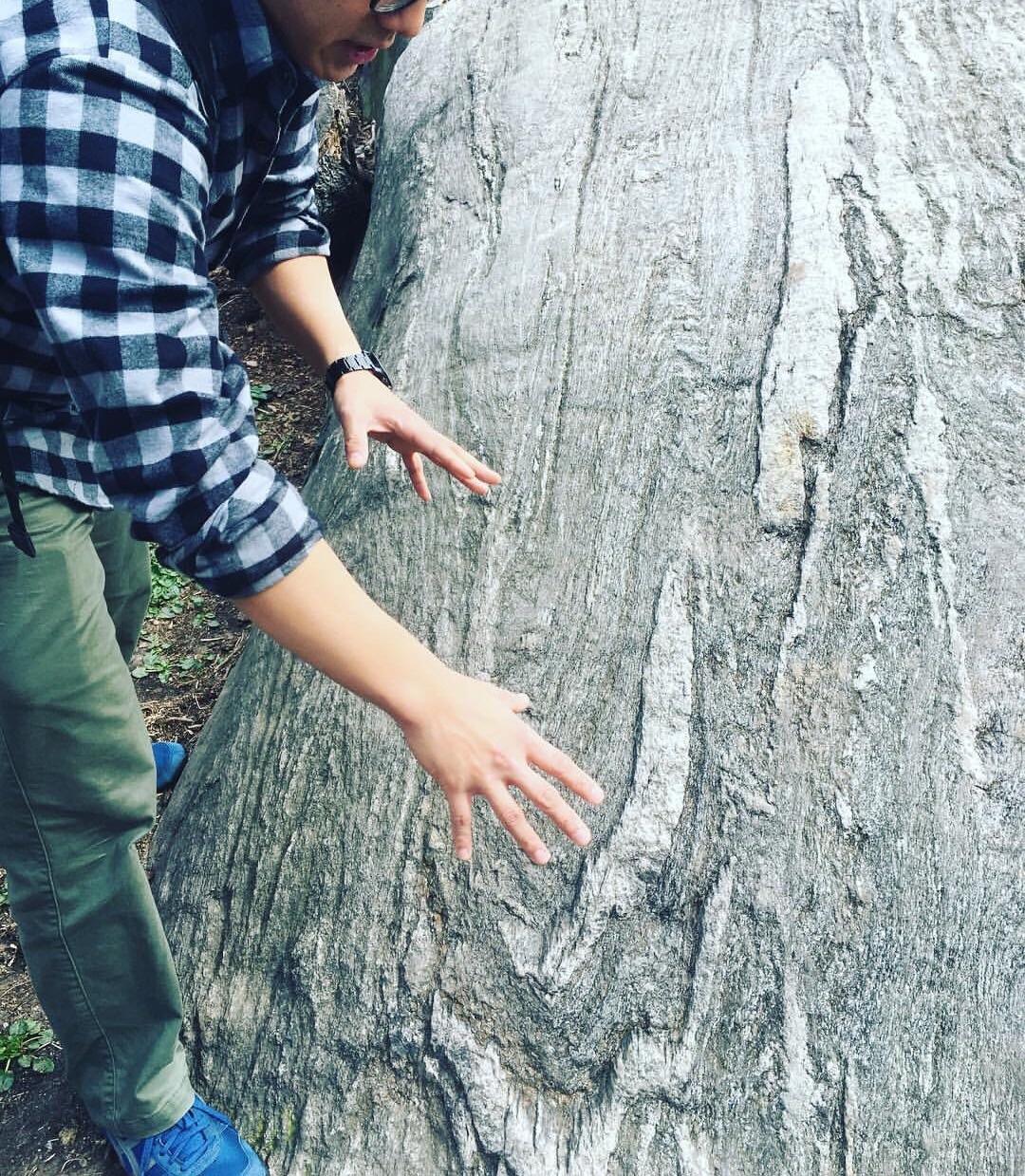 Folds in Central Park, NYC r/geology