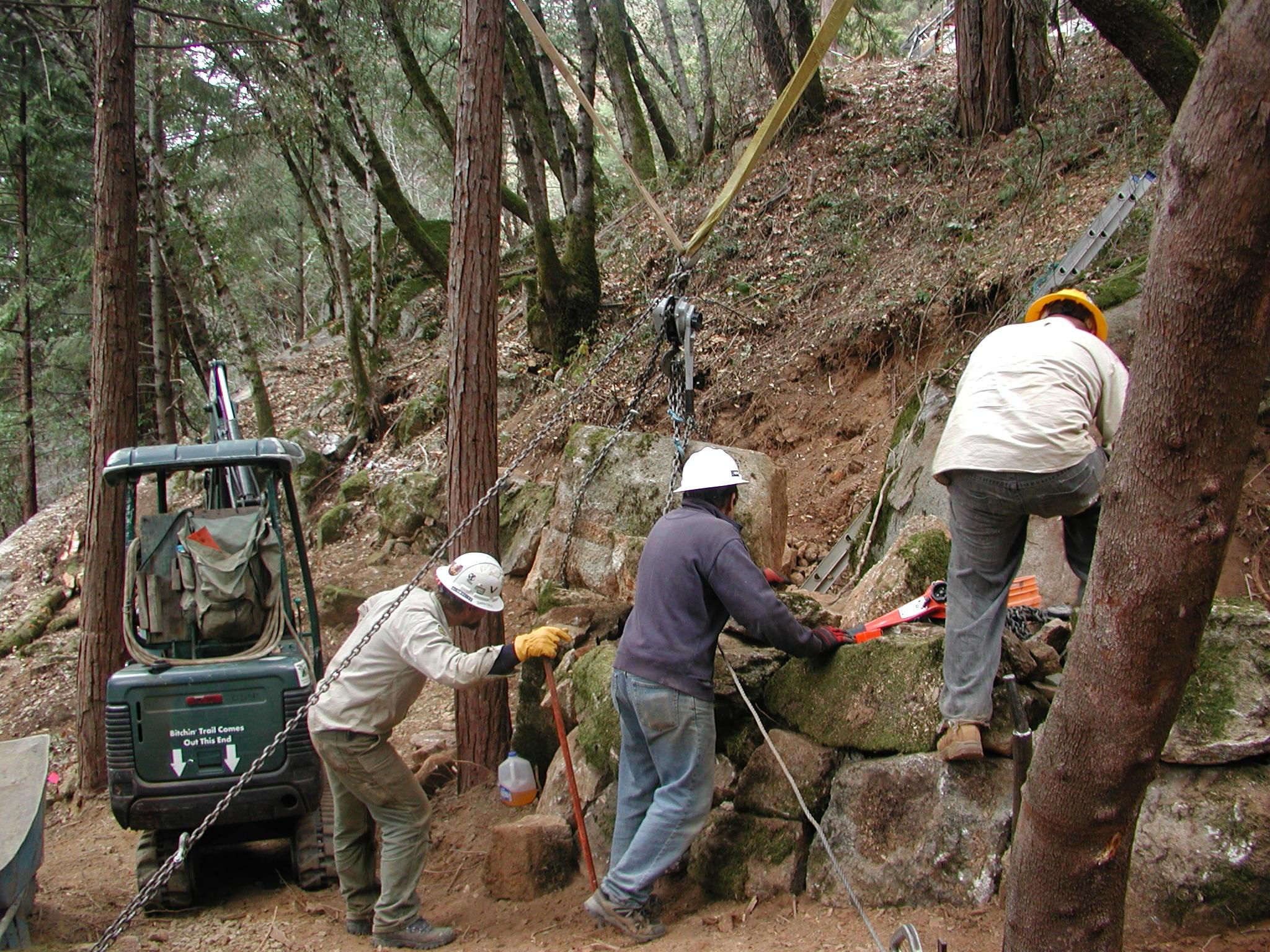 Hiring for TRAIL WORK Forest Trails Alliance r/MTBTrailBuilding