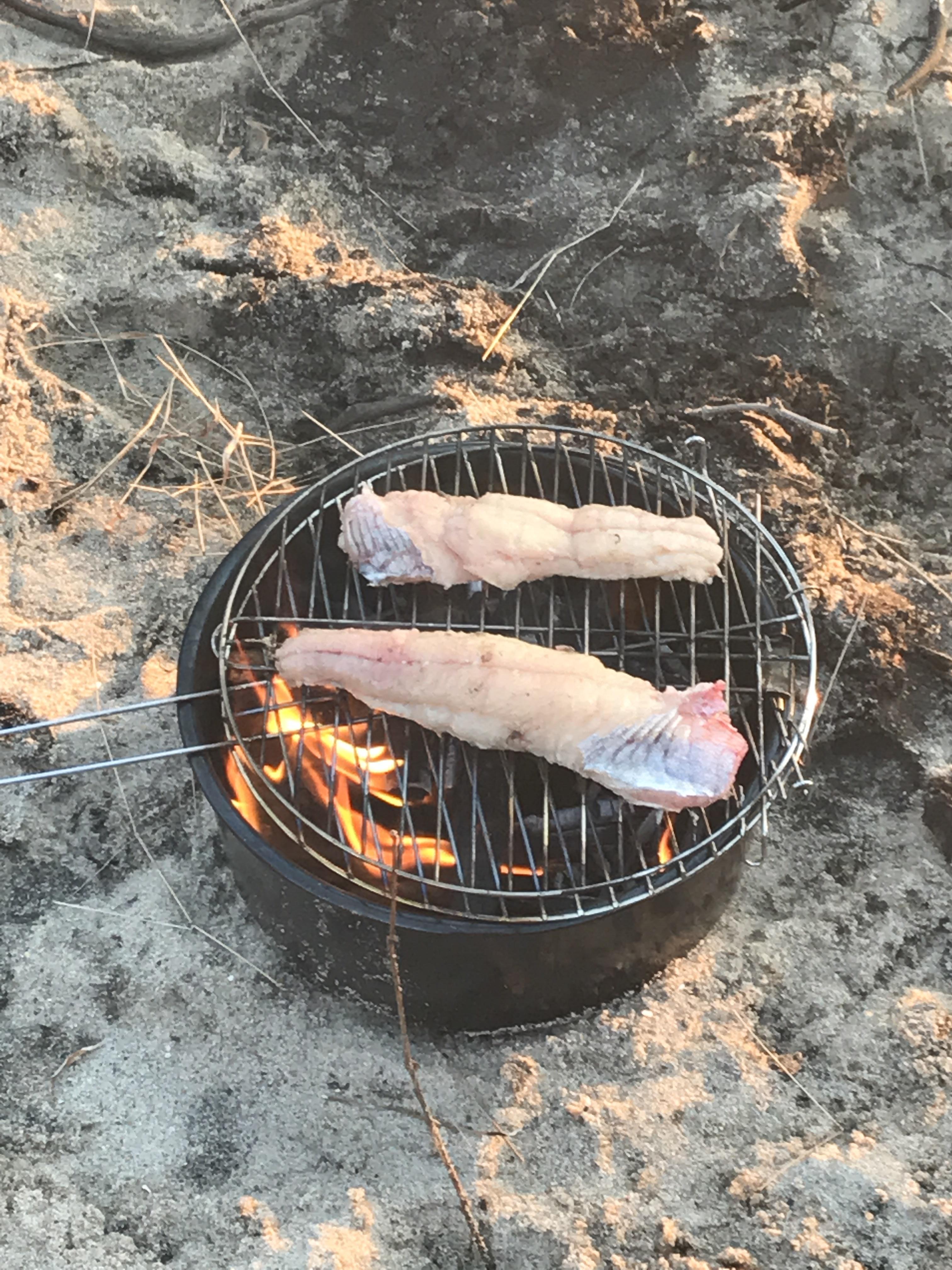 Cooking freshly caught catfish over the fire, once again kayaked to an