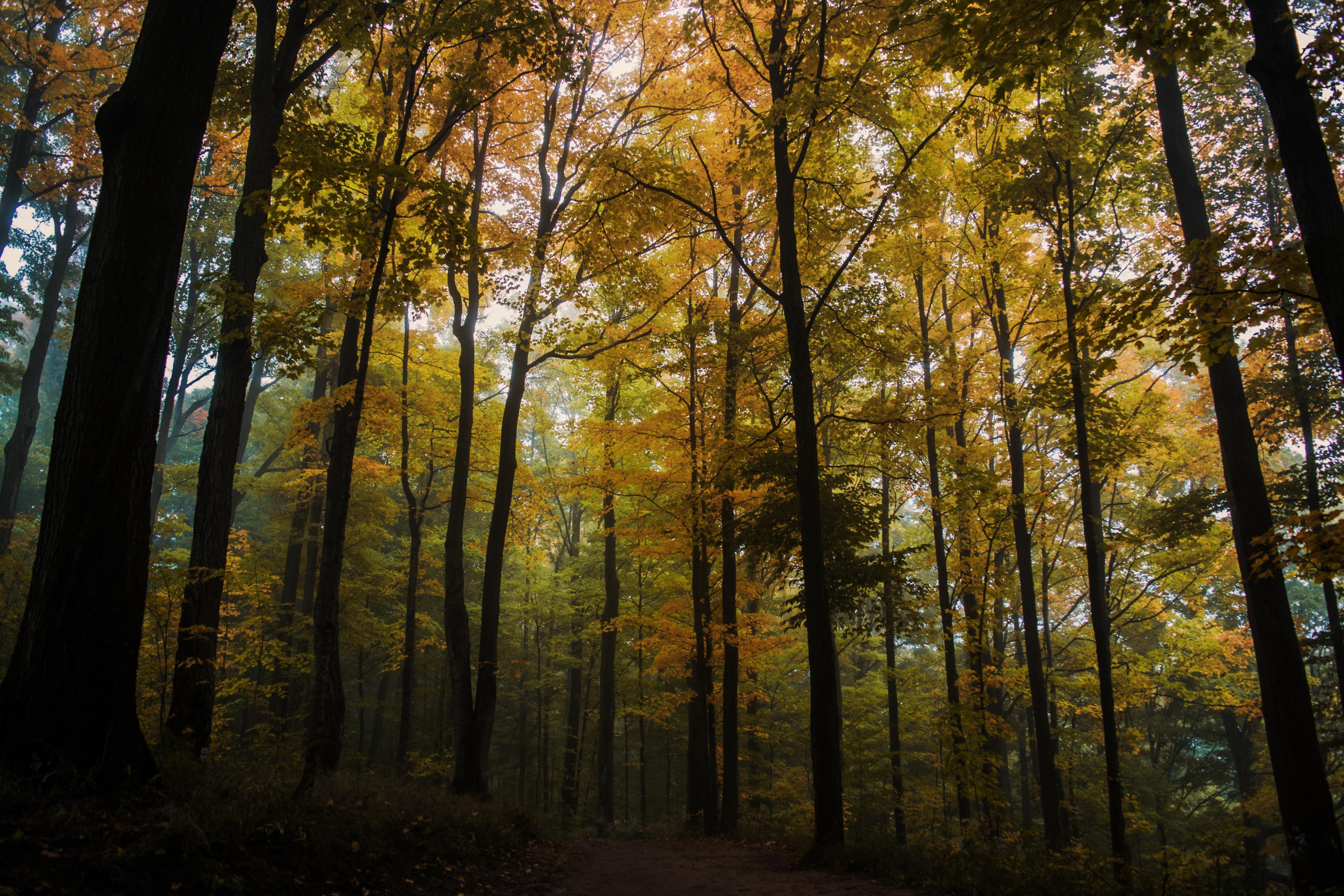 Rattlesnake Point, Milton, Ontario, Canada r/hiking