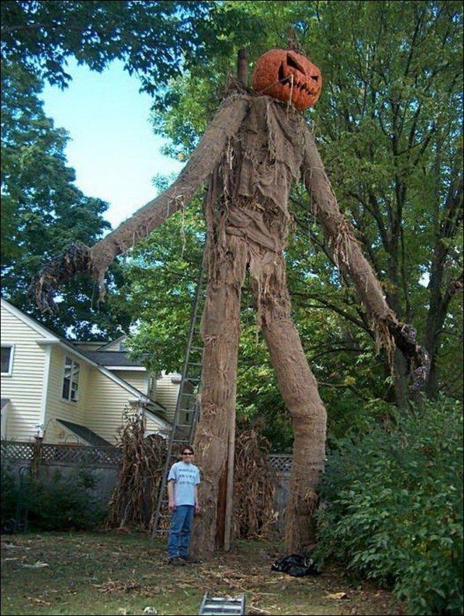 A real Creepy Scarecrow r/oddlyweird