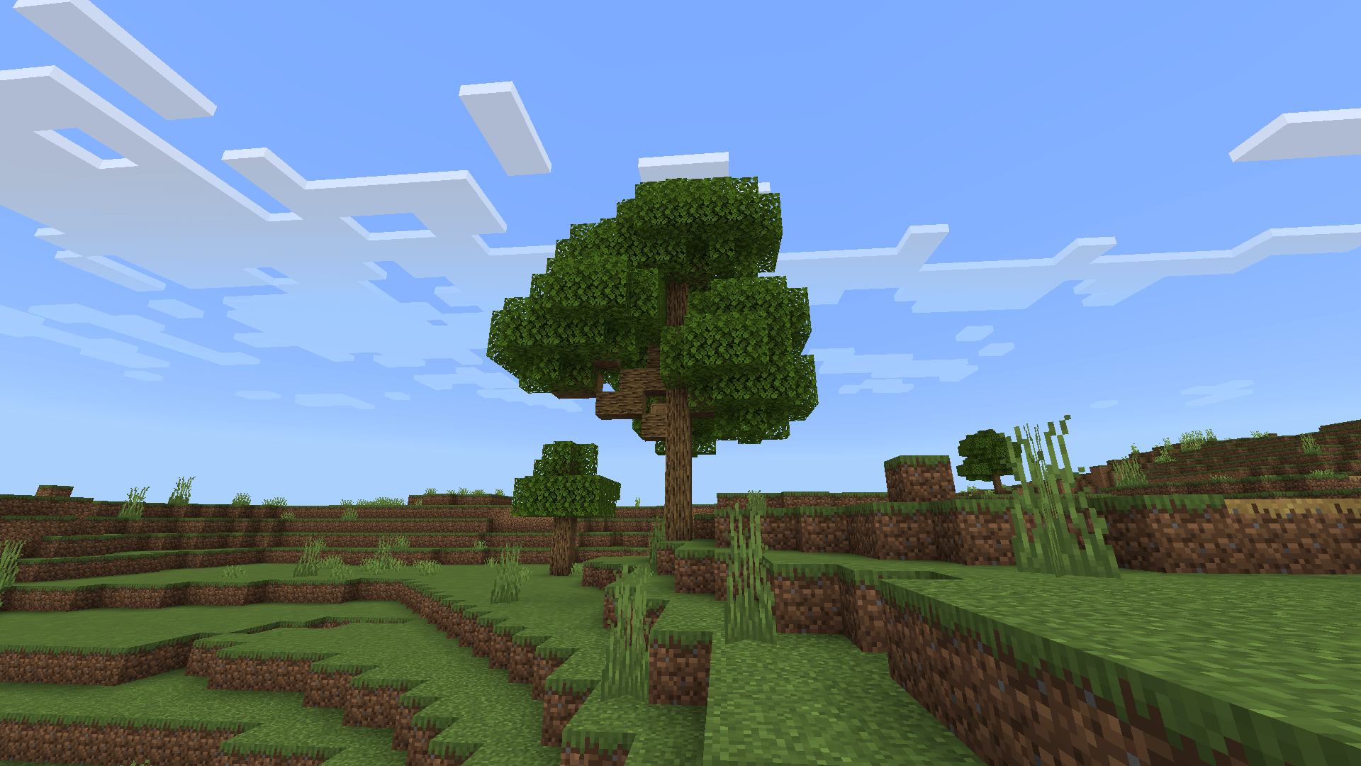 Largest Natural Spawning Oak Tree? r/Minecraft