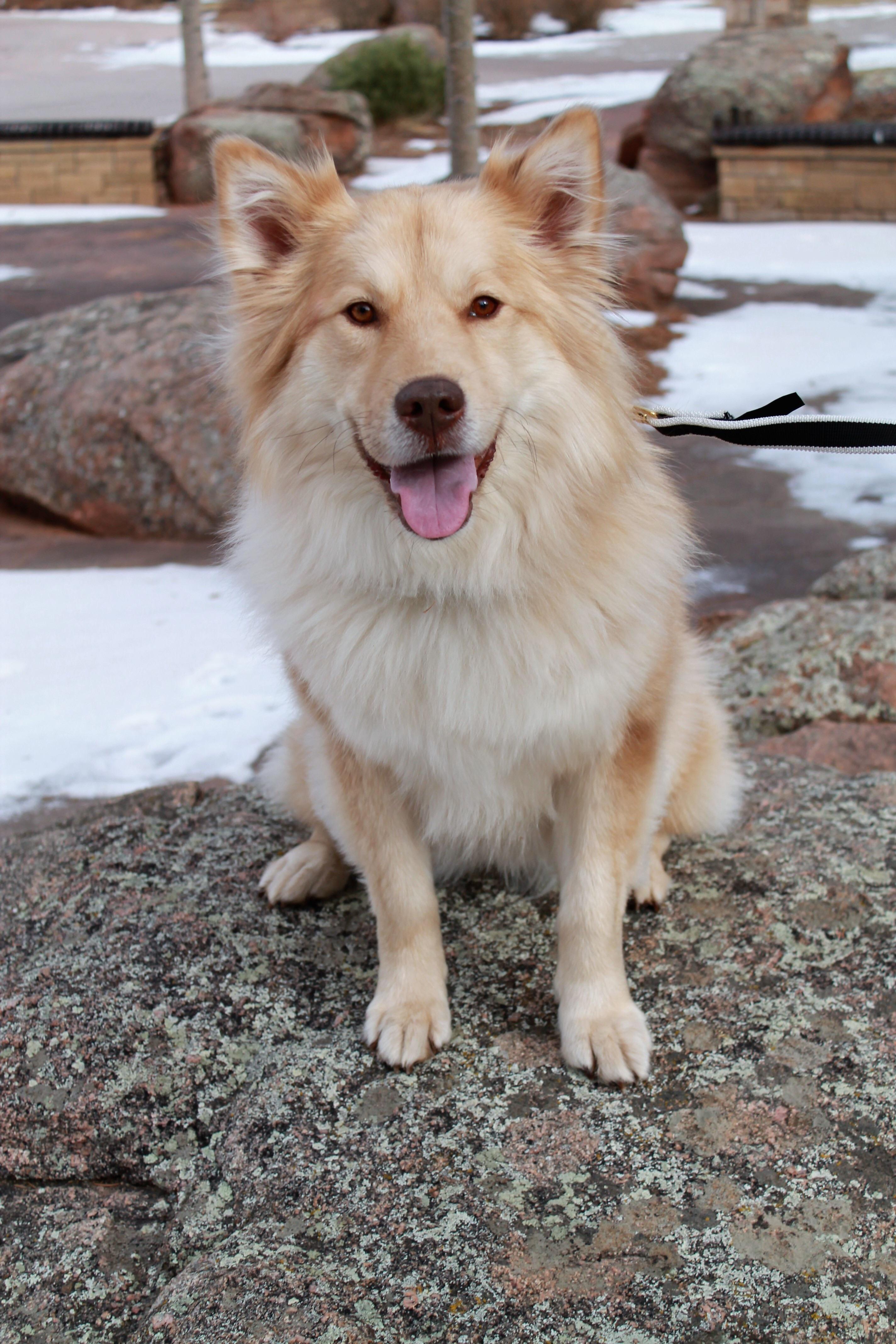 55+ Chowski l2sanpiero