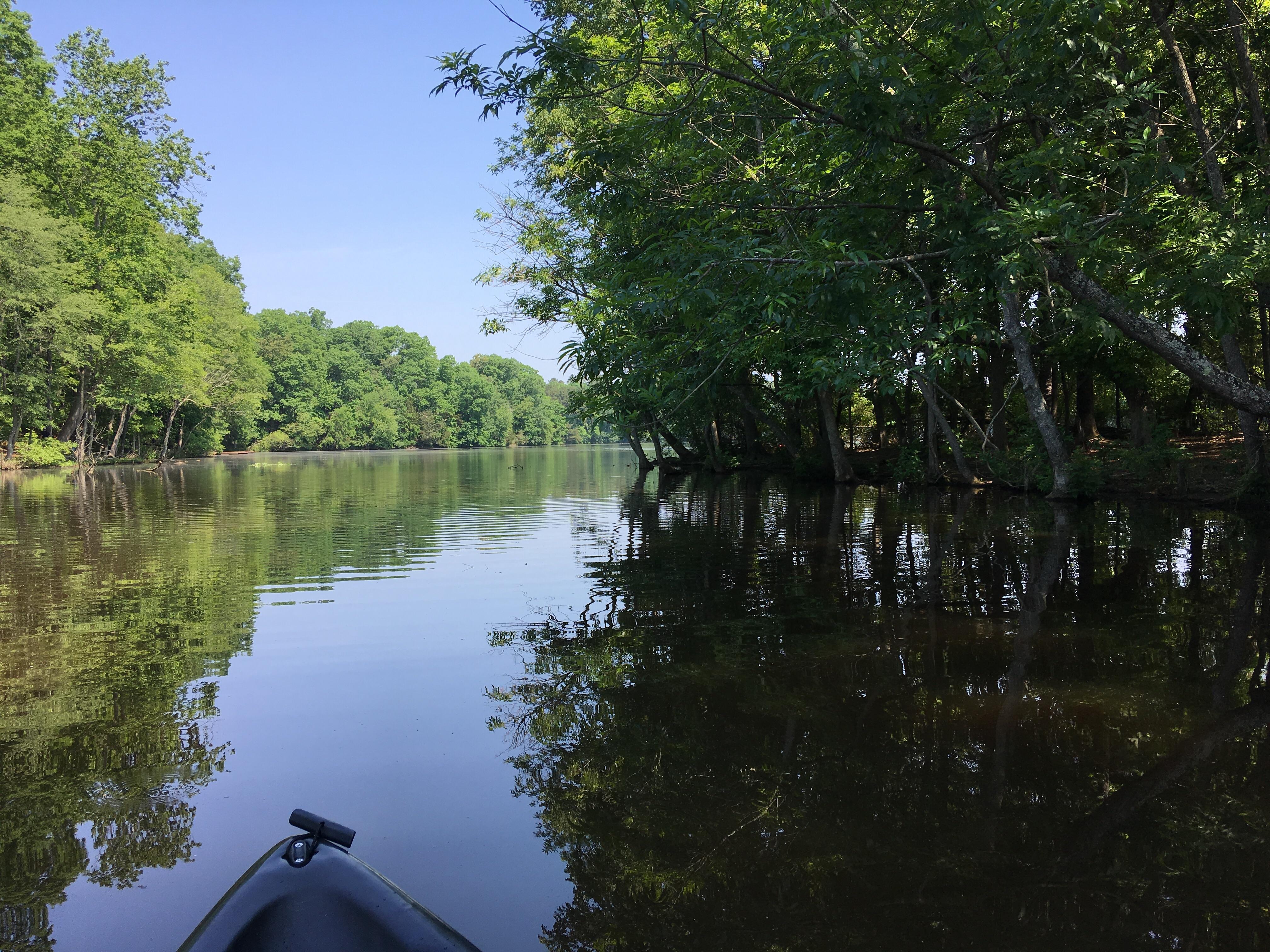 First kayak trip in about 10 years (North Carolina) r/Kayaking