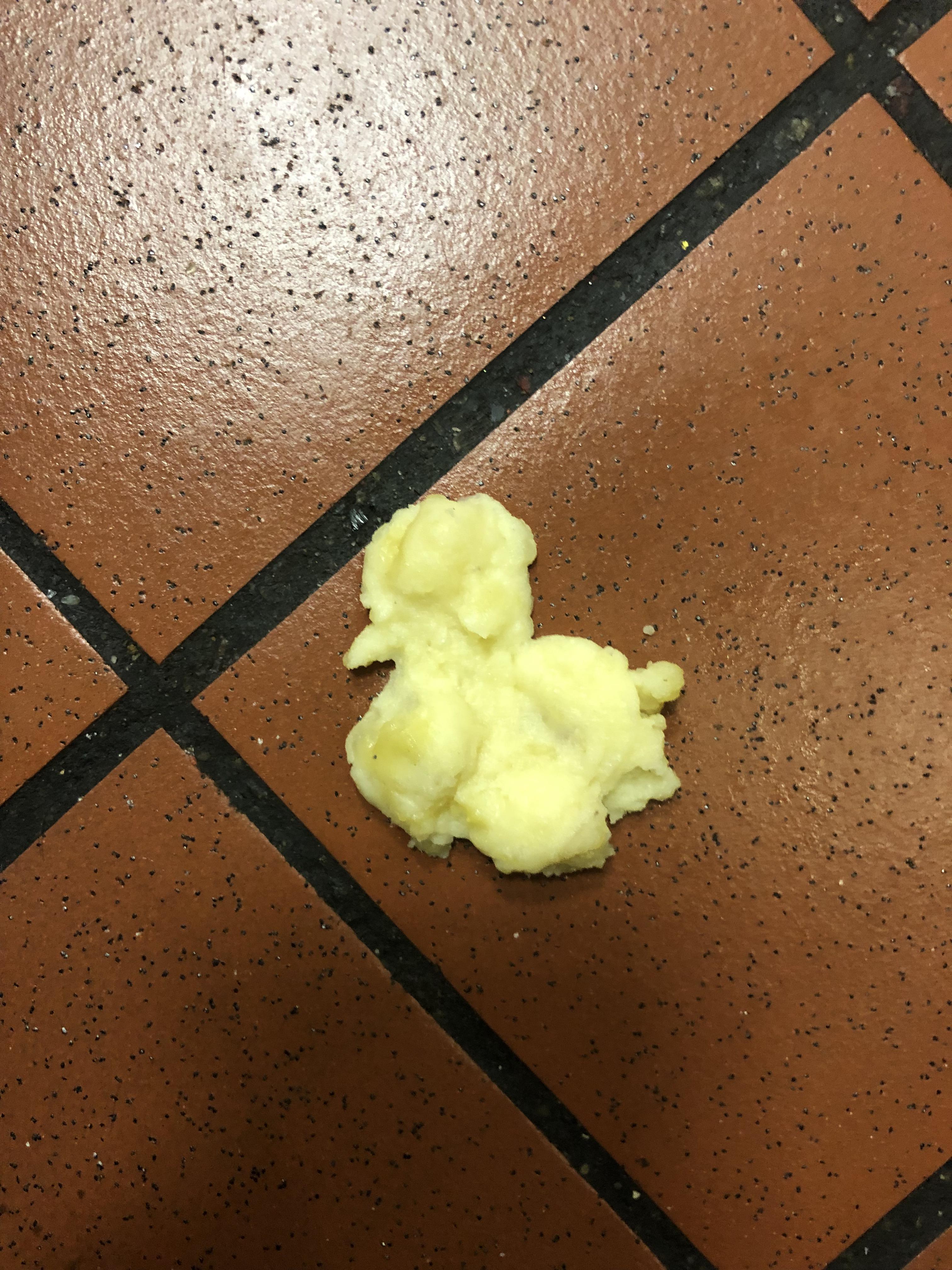 Mashed potatoes on the floor look like a little ducky r/mildlyinteresting