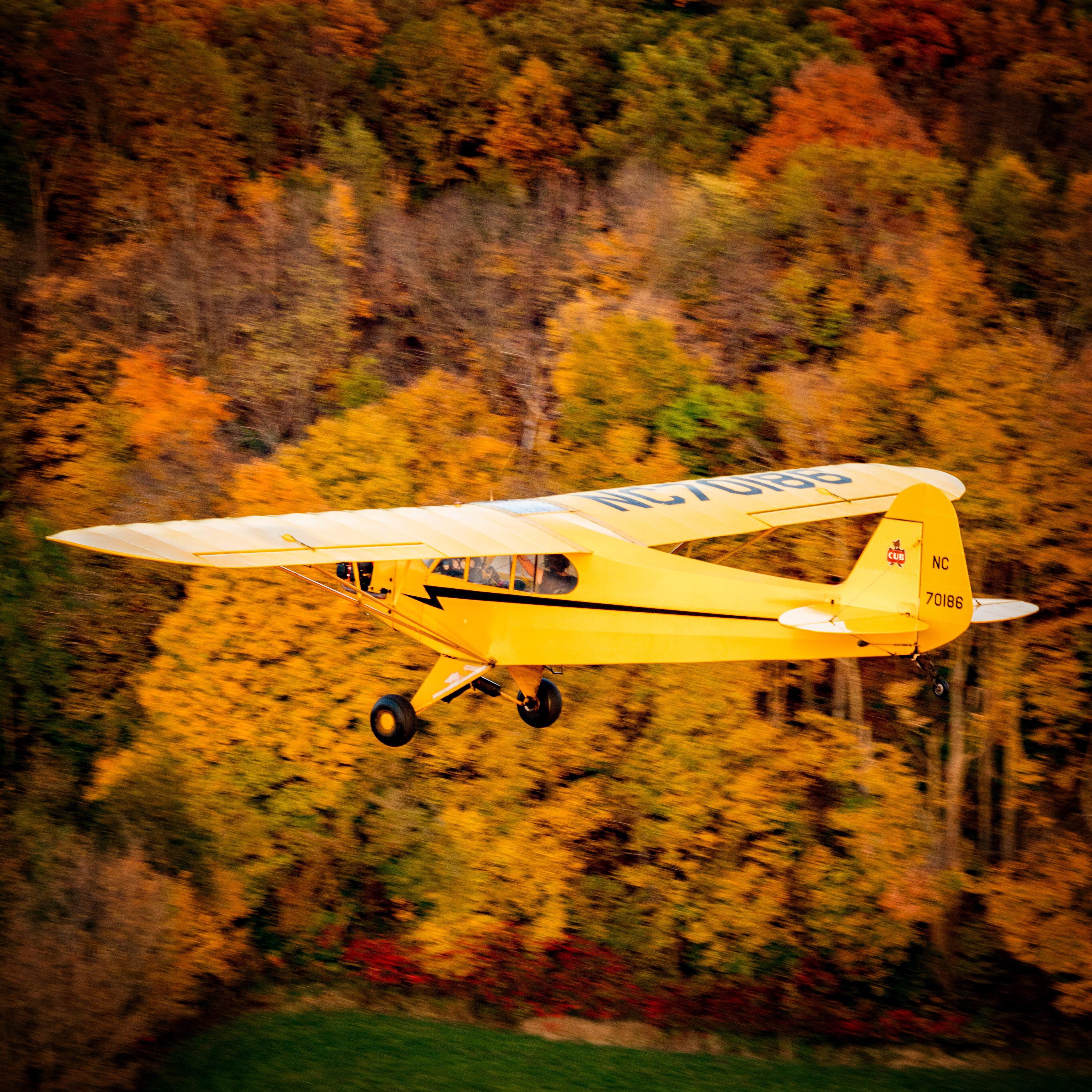 Cub Camouflage in Wisconsin Fall r/flying