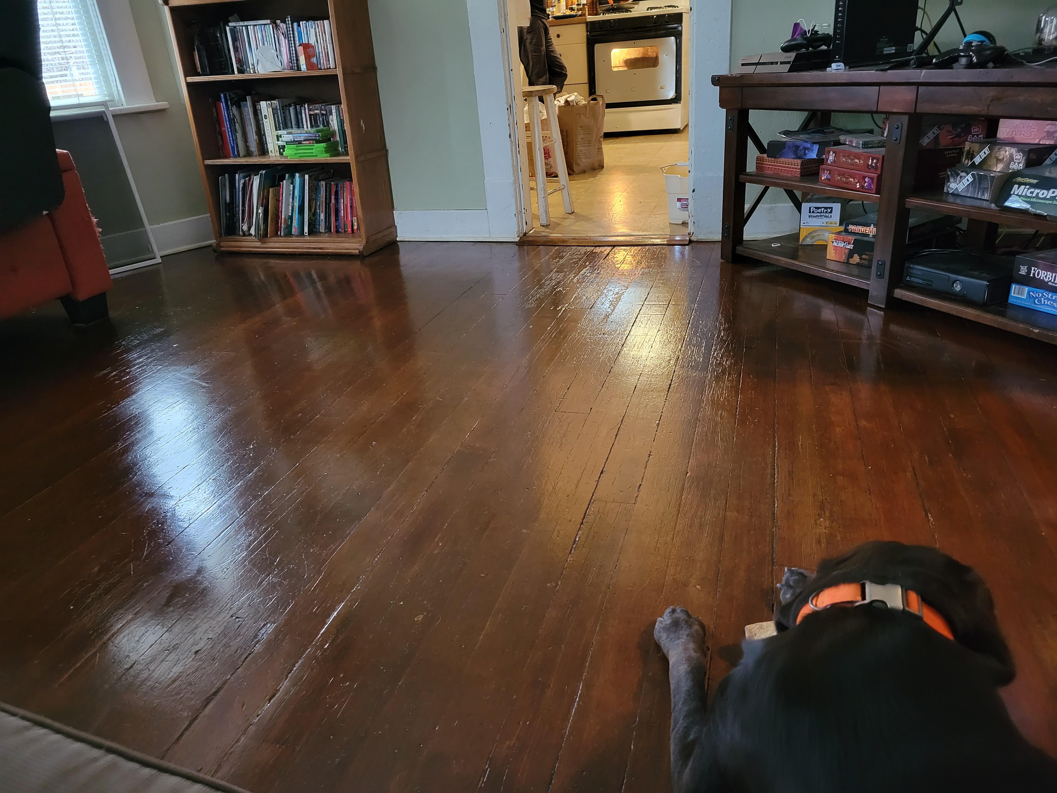 Old English Scratch Cover and Minwax Wood Floor Reviver has the floors