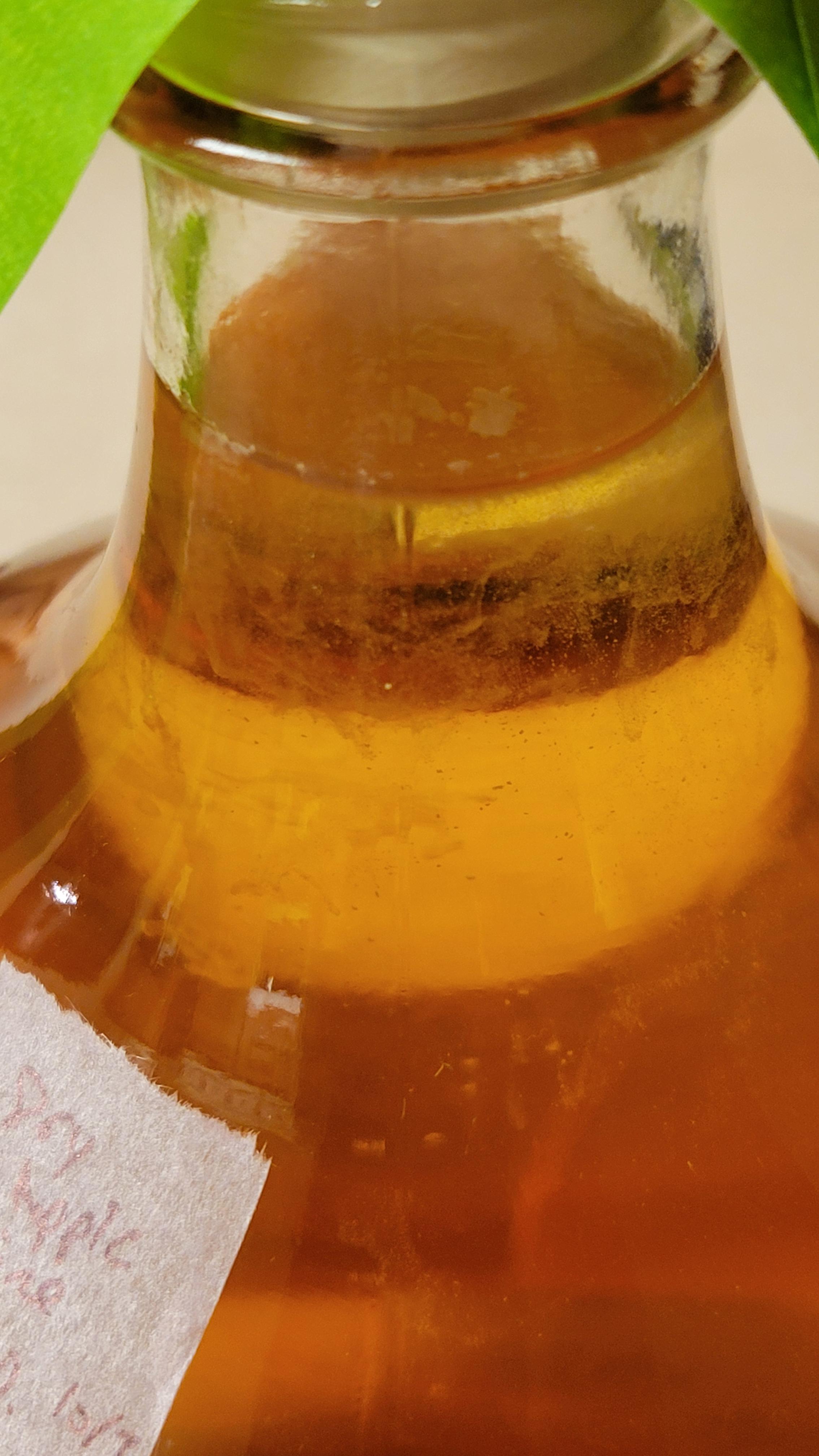 Fermentation gone bad? : r/fermentation