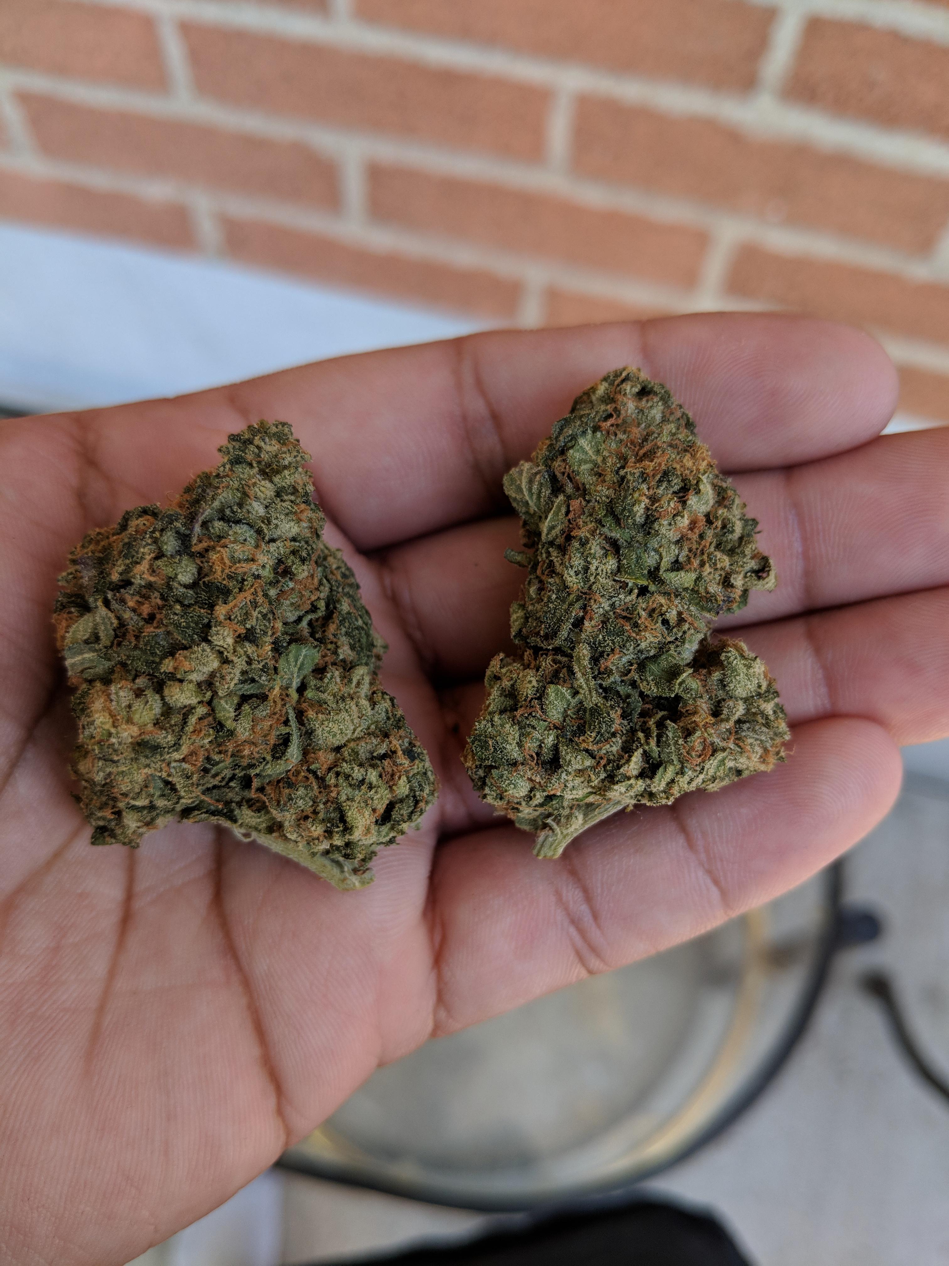 BLACK DIAMOND OG OKG JULY 2018 (OKANAGANGREEN) r/MOMpics