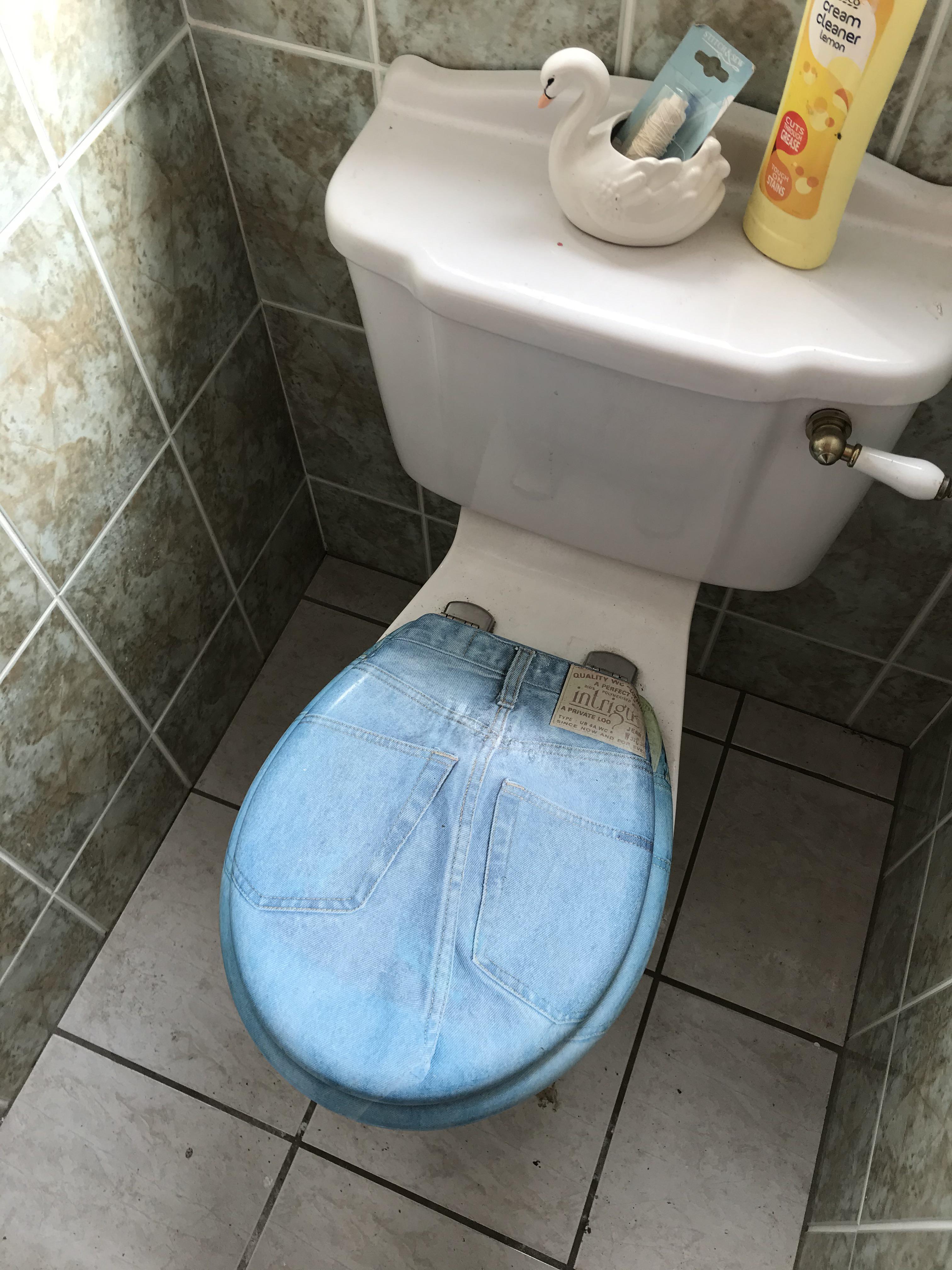 Joilet...Jean toilet... r/jakeandamir