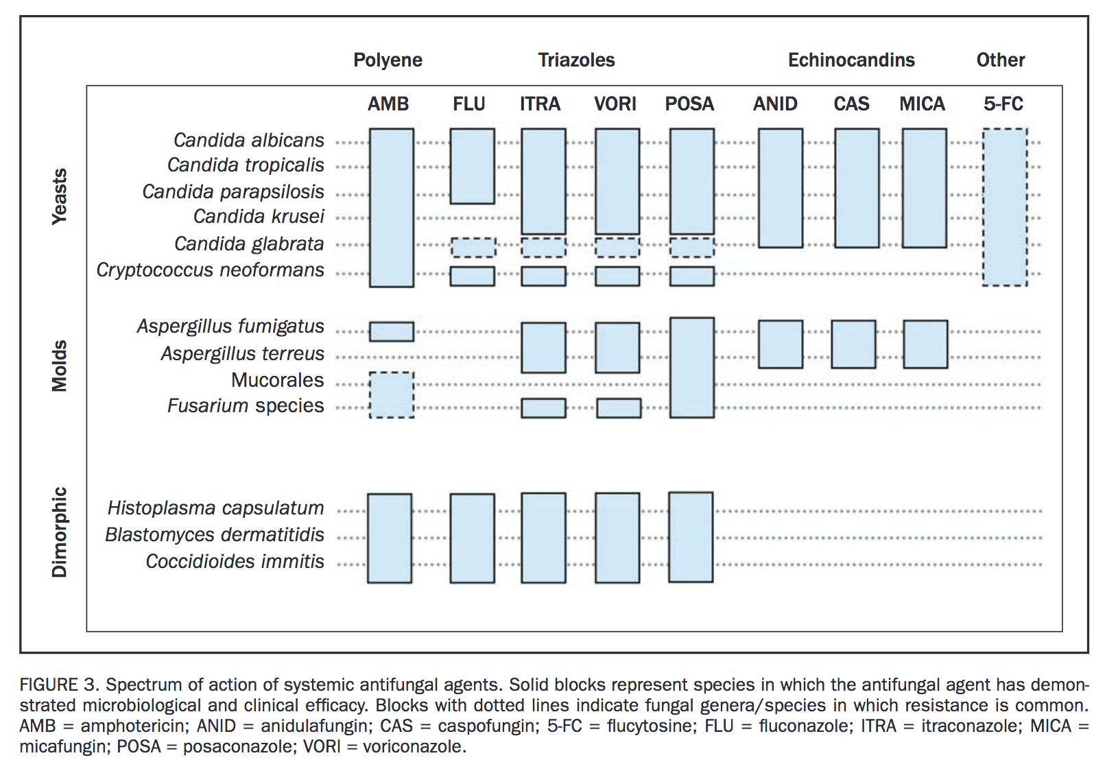 Antifungal Spectrum of Activity Antibiogram r/Foamed