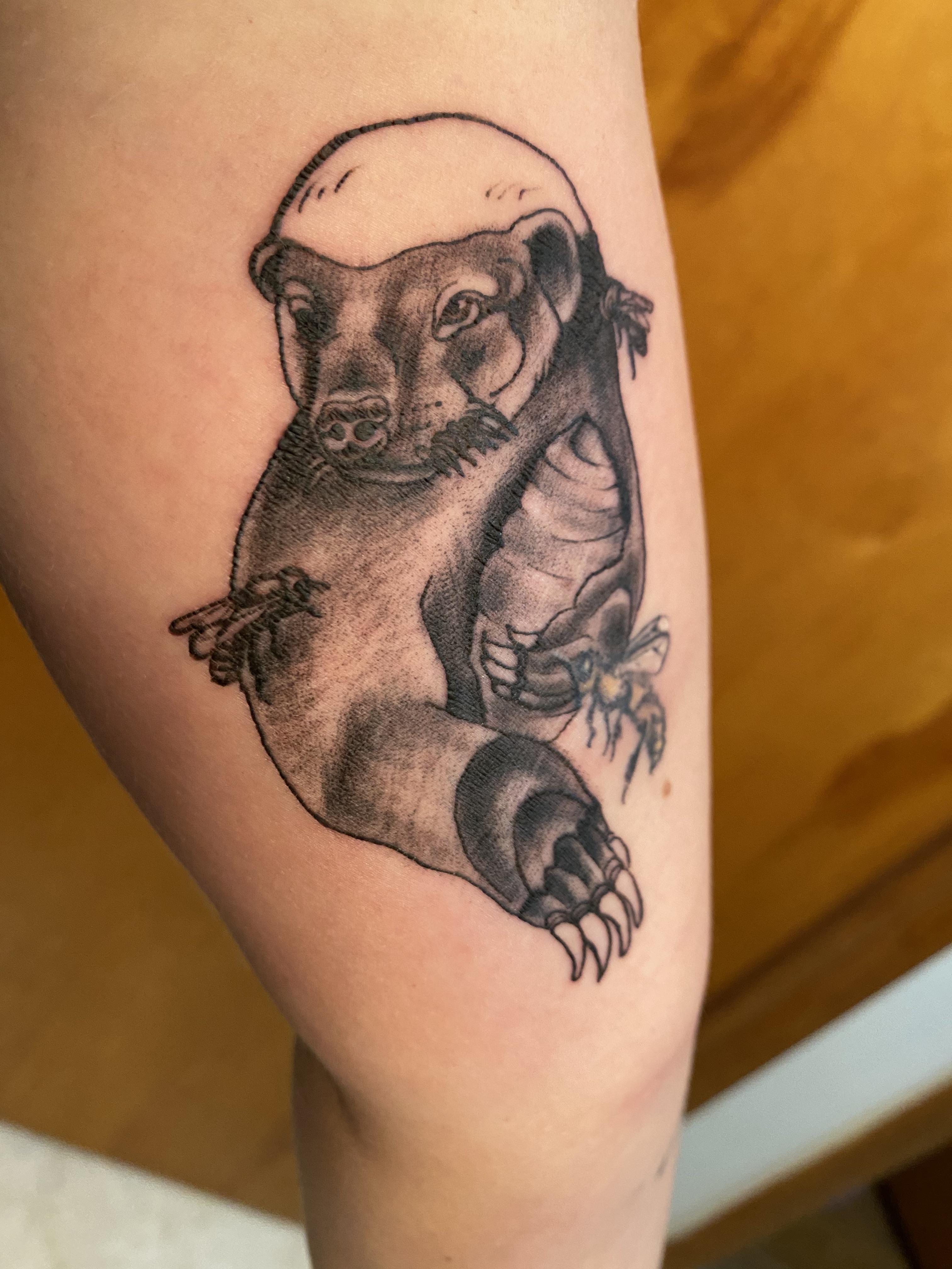 Fresh honey badger to go along with my old honey bee, both done by Paul