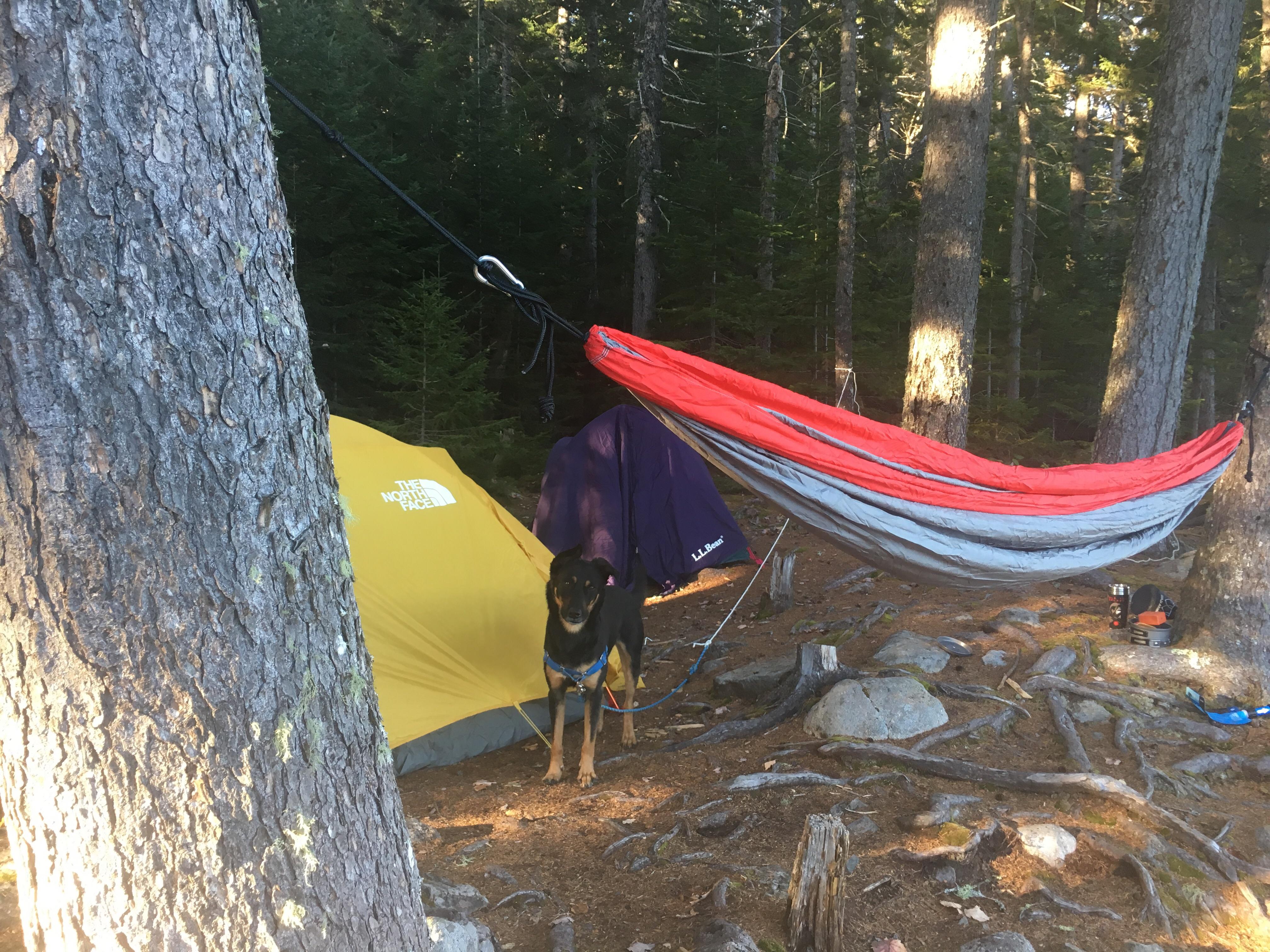 White Mountains, NH Big thanks to my reddit friend who gave me the