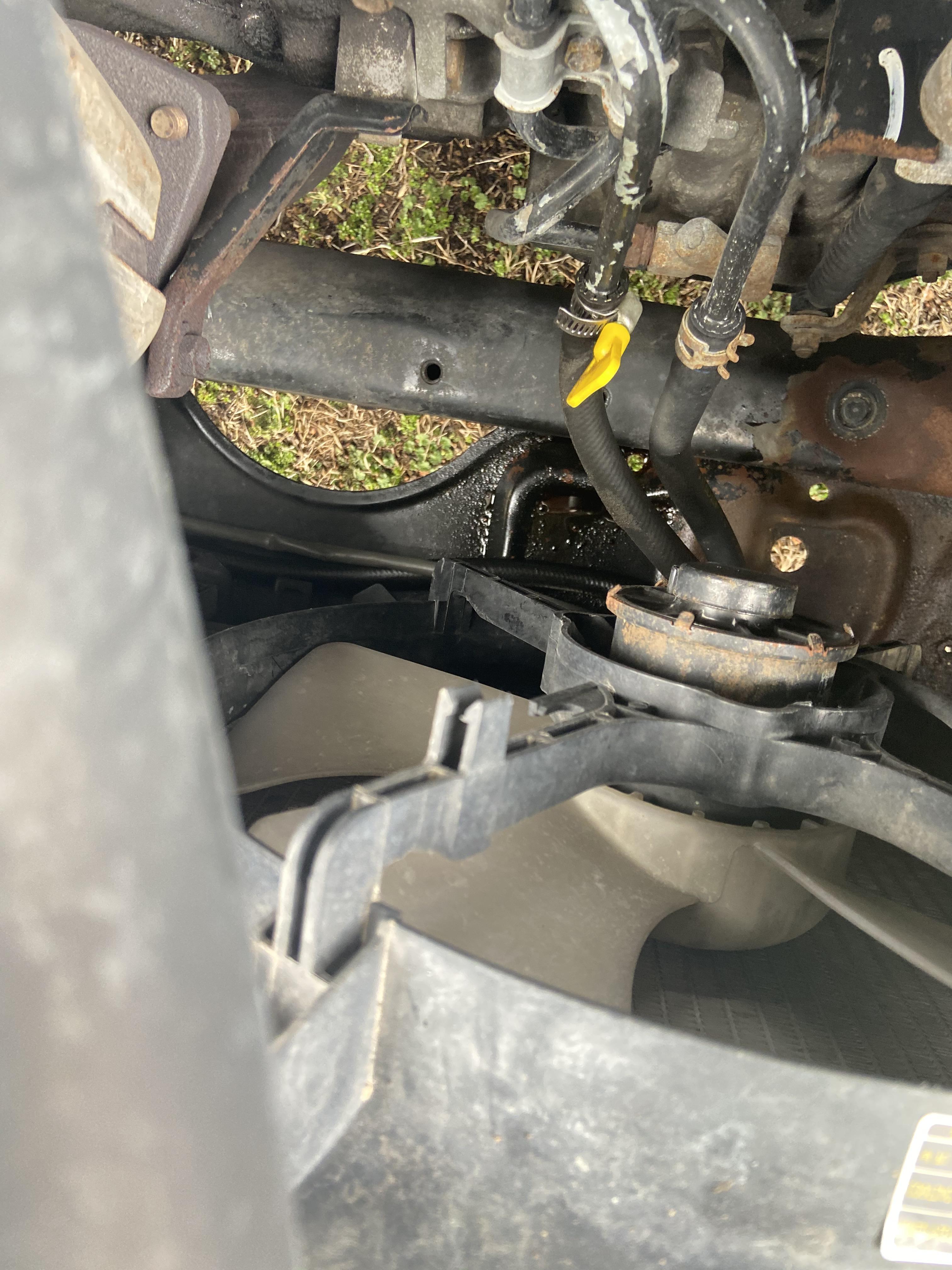 Some oil is leaking from the radiator fan? If anyone could help it