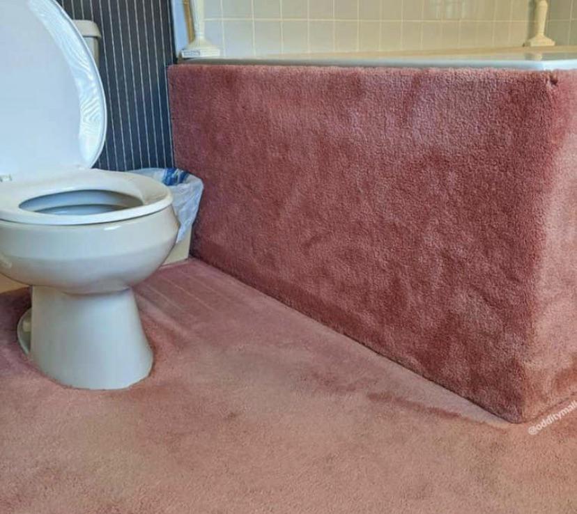 Thanks, I hate carpeted bathroom r/TIHI