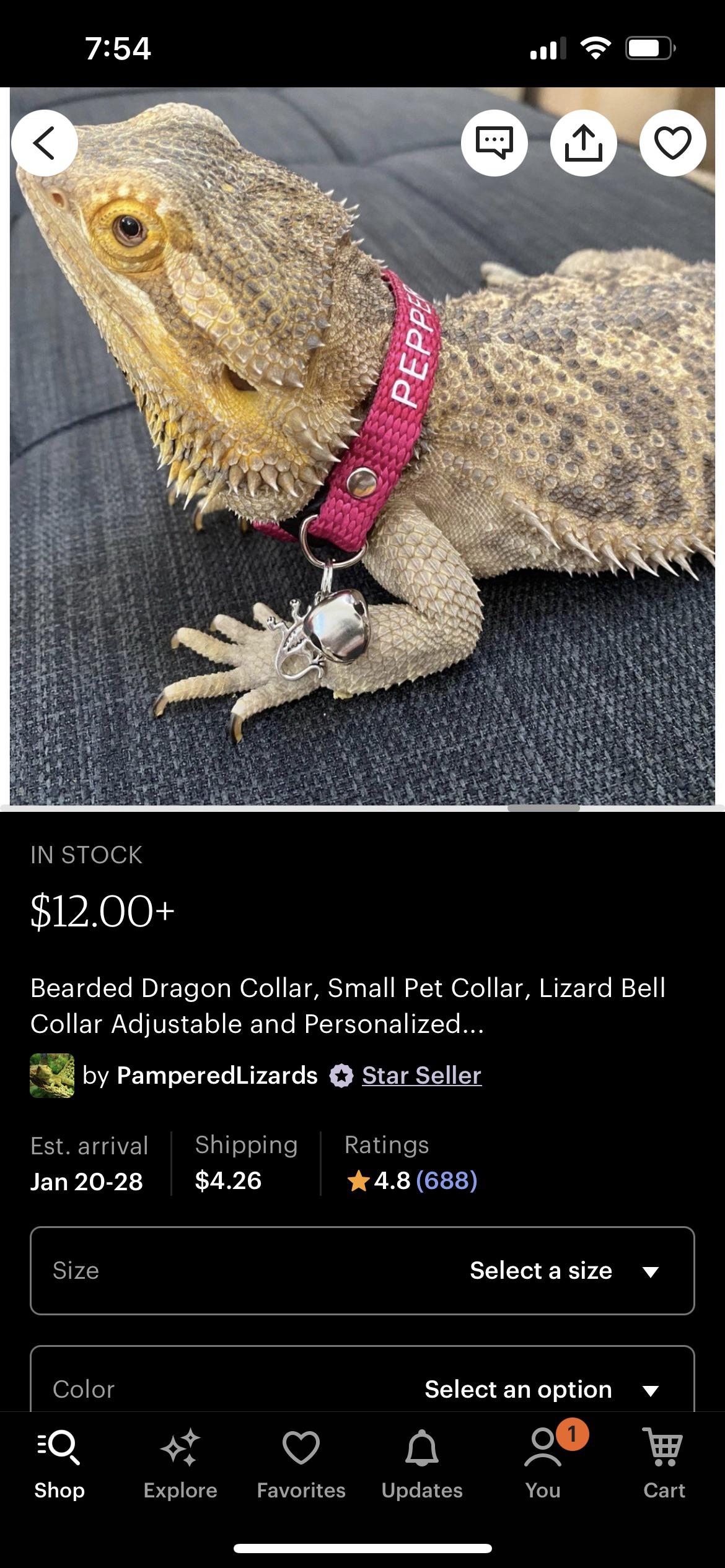 Any negative things about these beardie collars? I think they are super