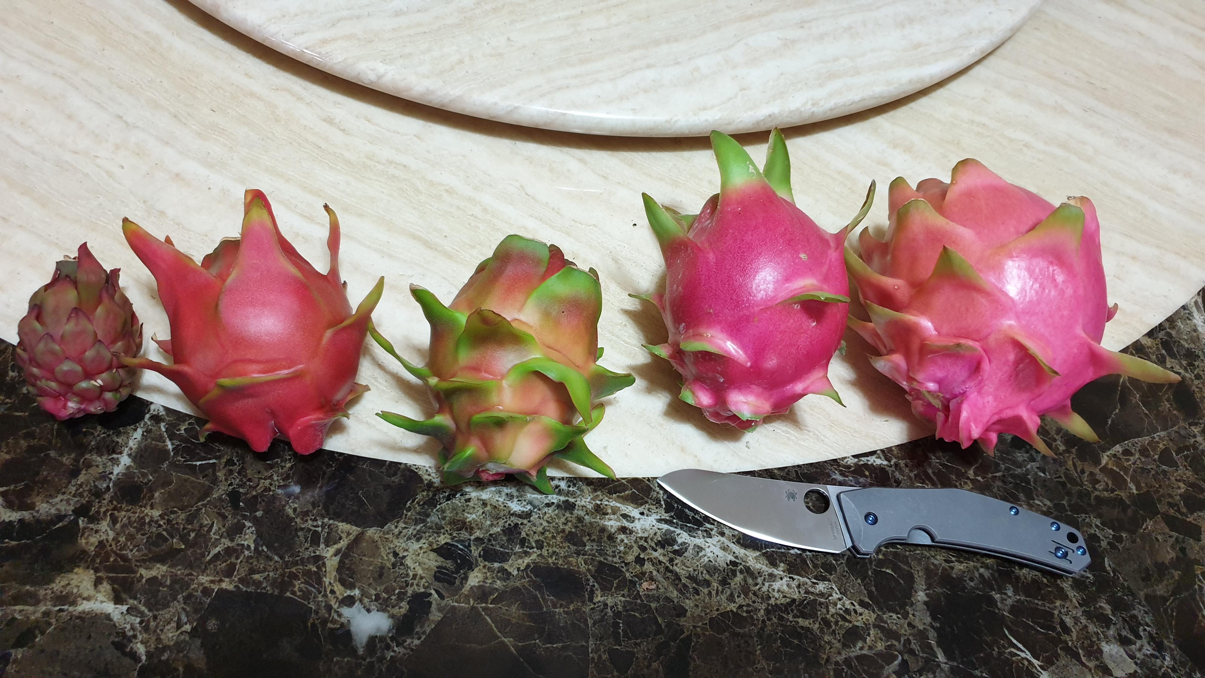 Different varieties of Dragon fruit r/DragonFruit