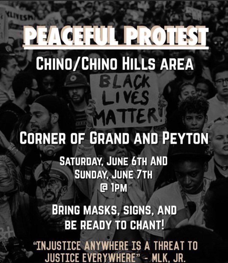 Protest in Chino Hills this weekend. r/InlandEmpire