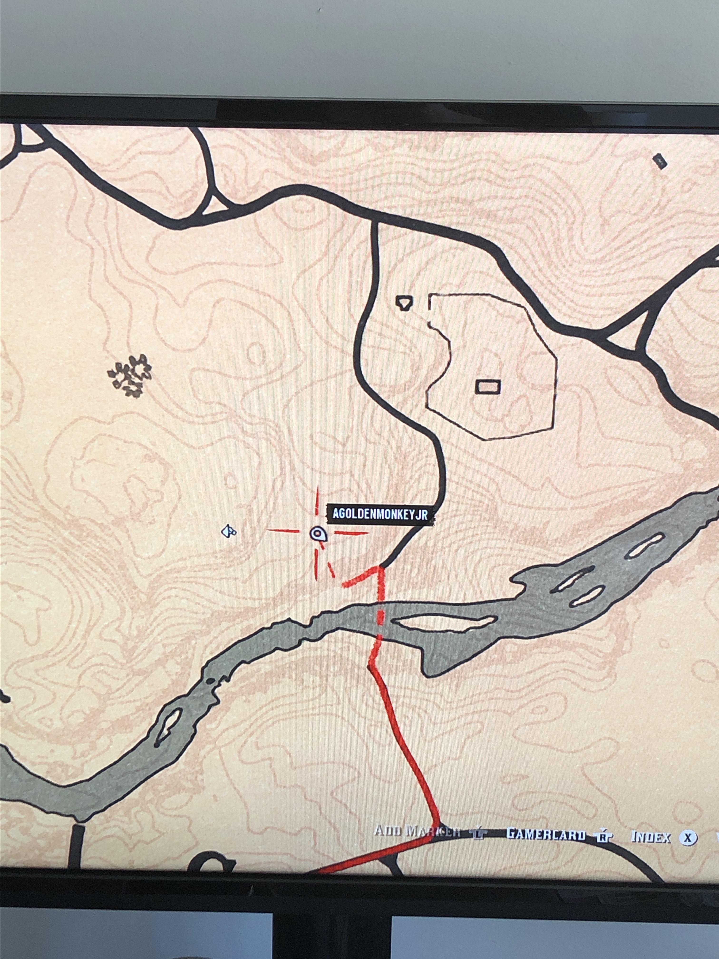 For anyone looking for the upper montana river wildflower, I finally