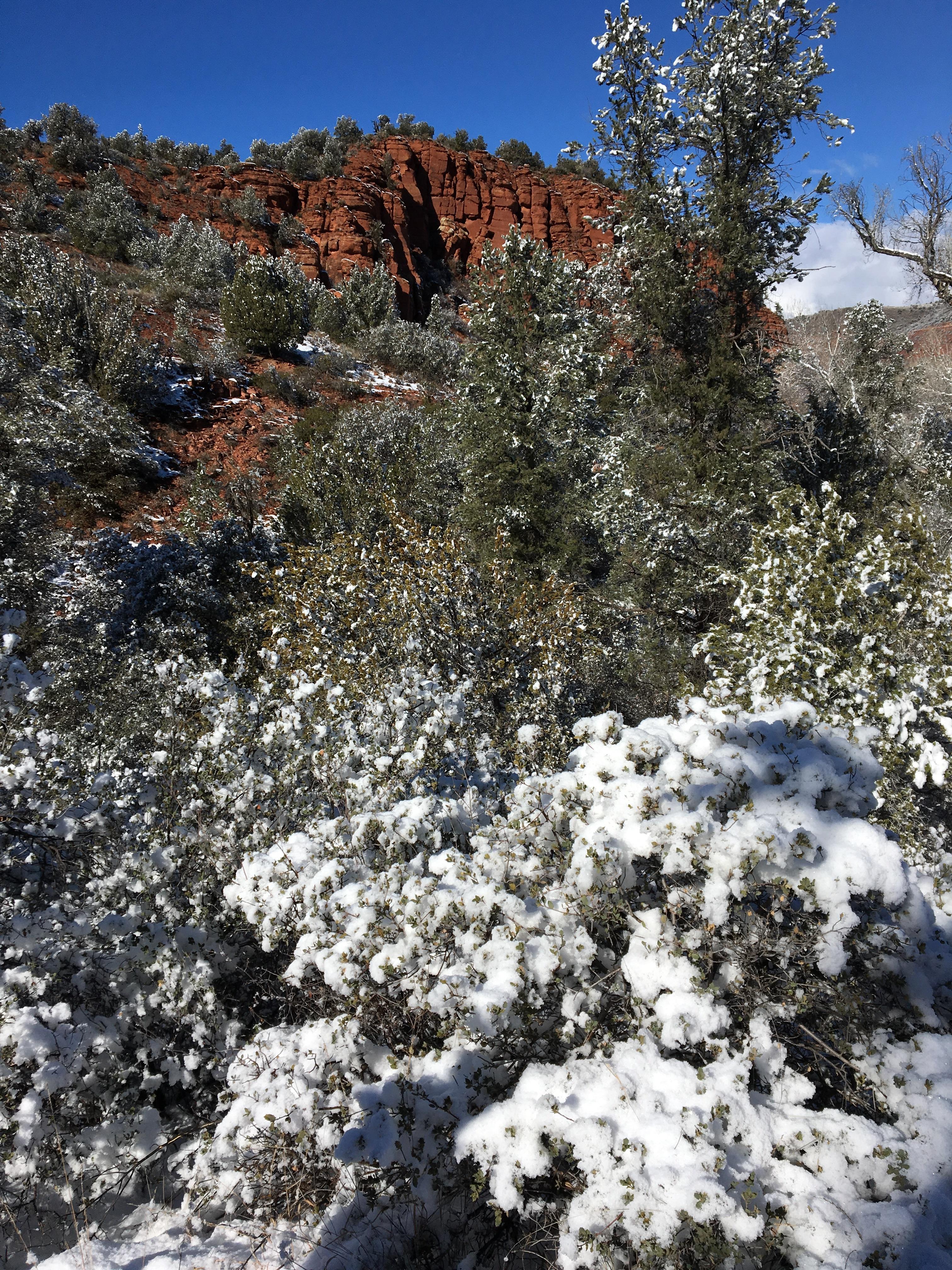 Red Rocks State Park in Arizona January 2019 r/Outdoors