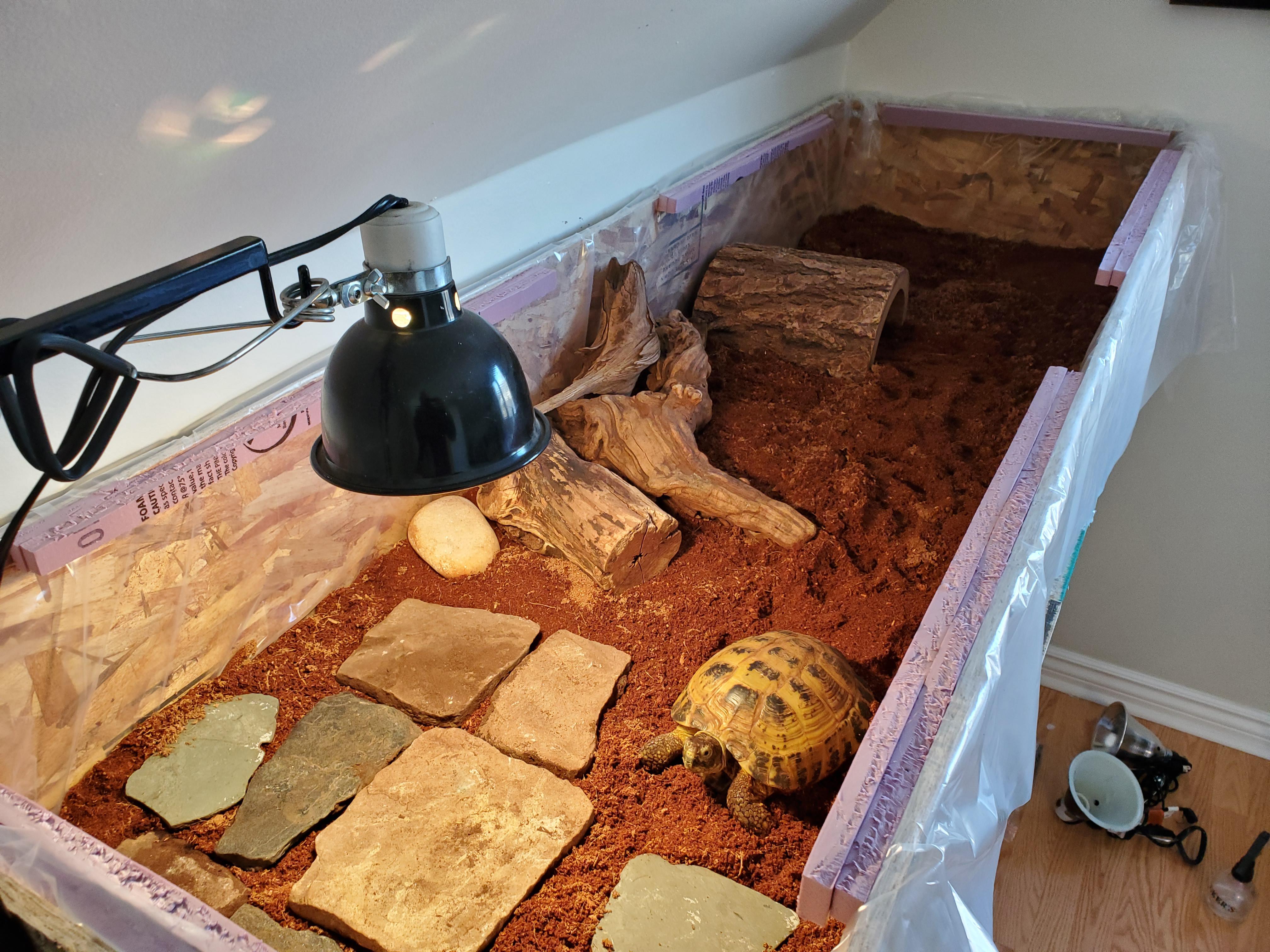 How To Make A Tortoise Table From A Bookcase 6x2 tortoise table for my russian tortoise I built tortoise