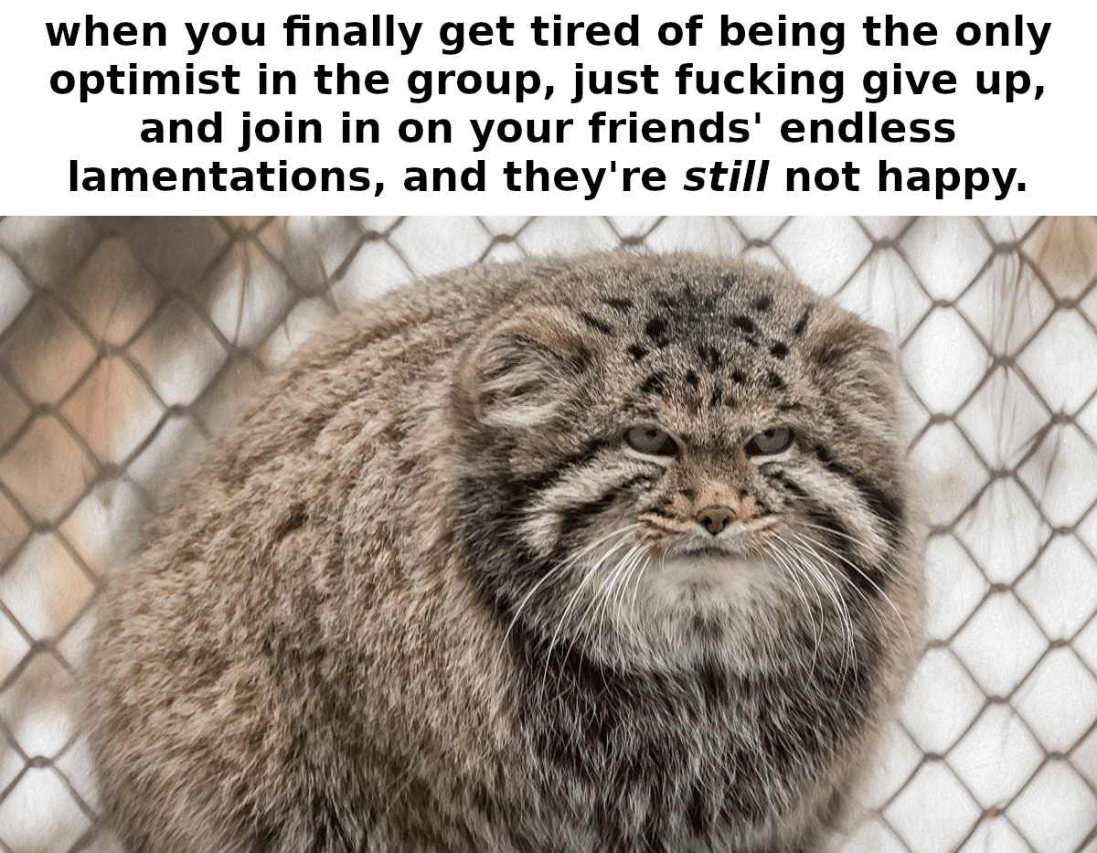 I would honestly feel better if they'd at least be proud of achieving