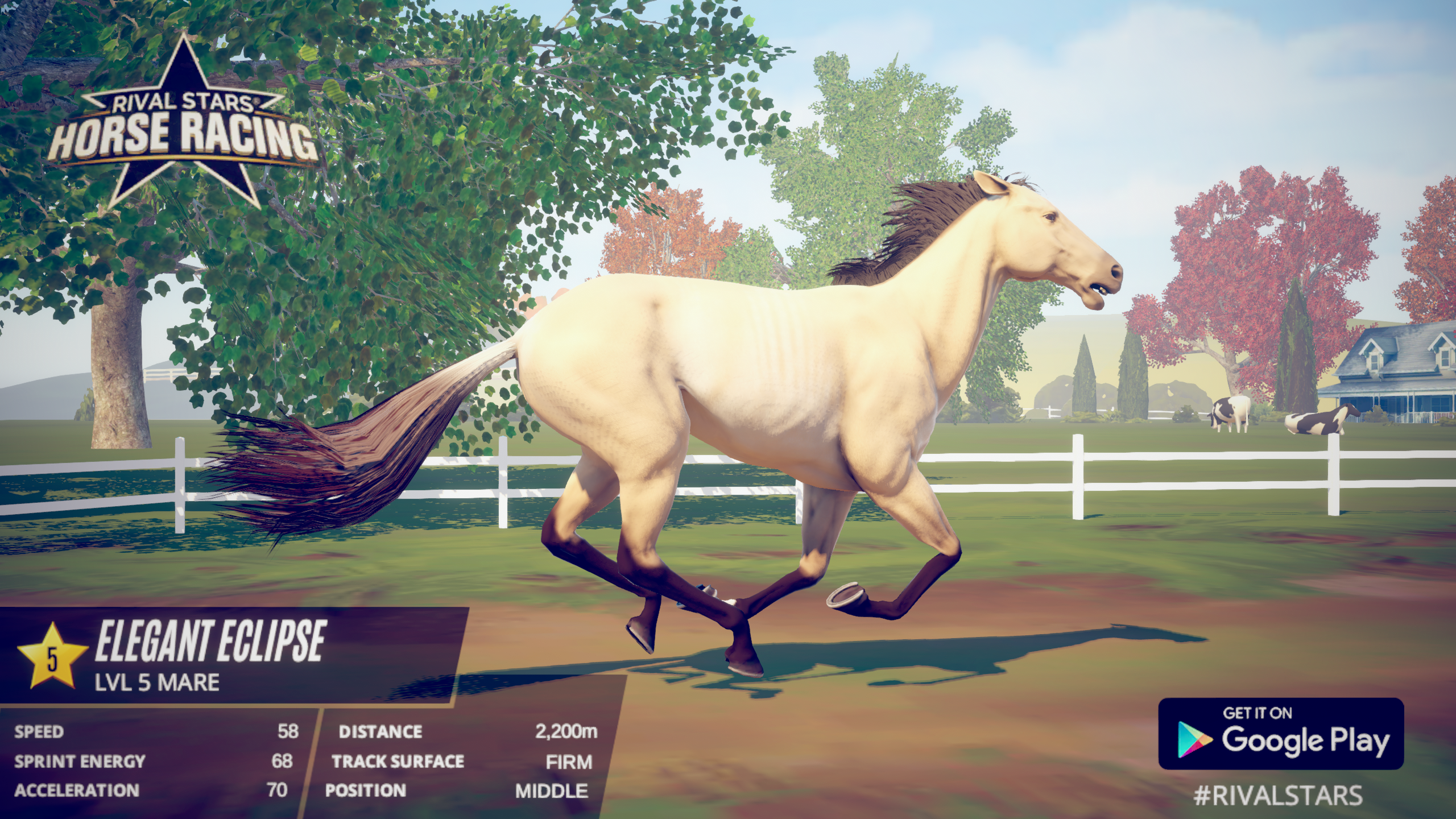 Any idea what this color pattern would be called? rivalstars