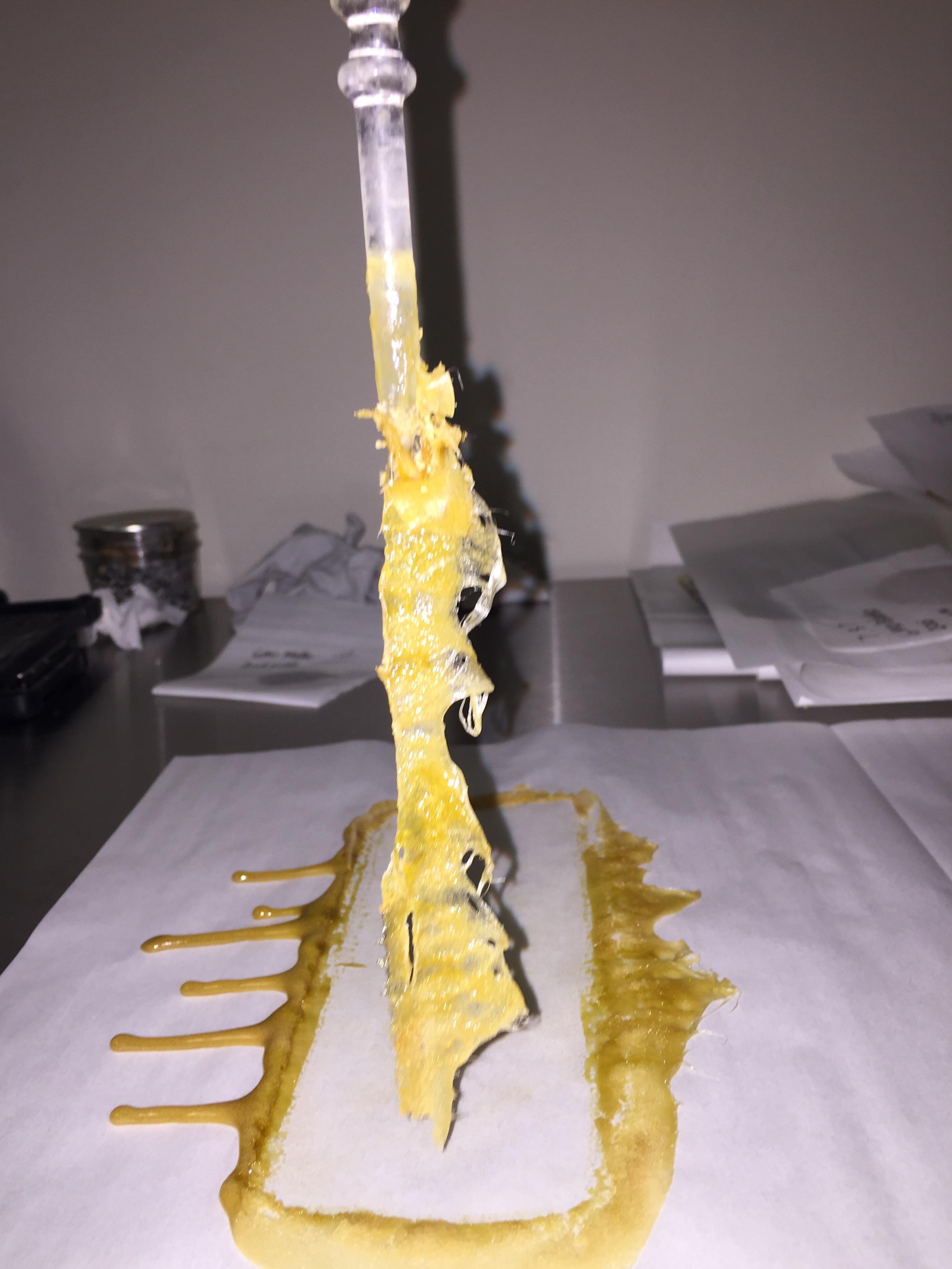 GMO flower rosin. Pressed last night. r/rosin