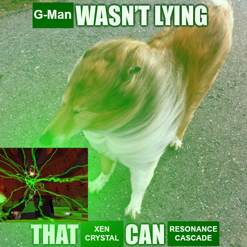 they weren't lying OKbuddyHalfLife