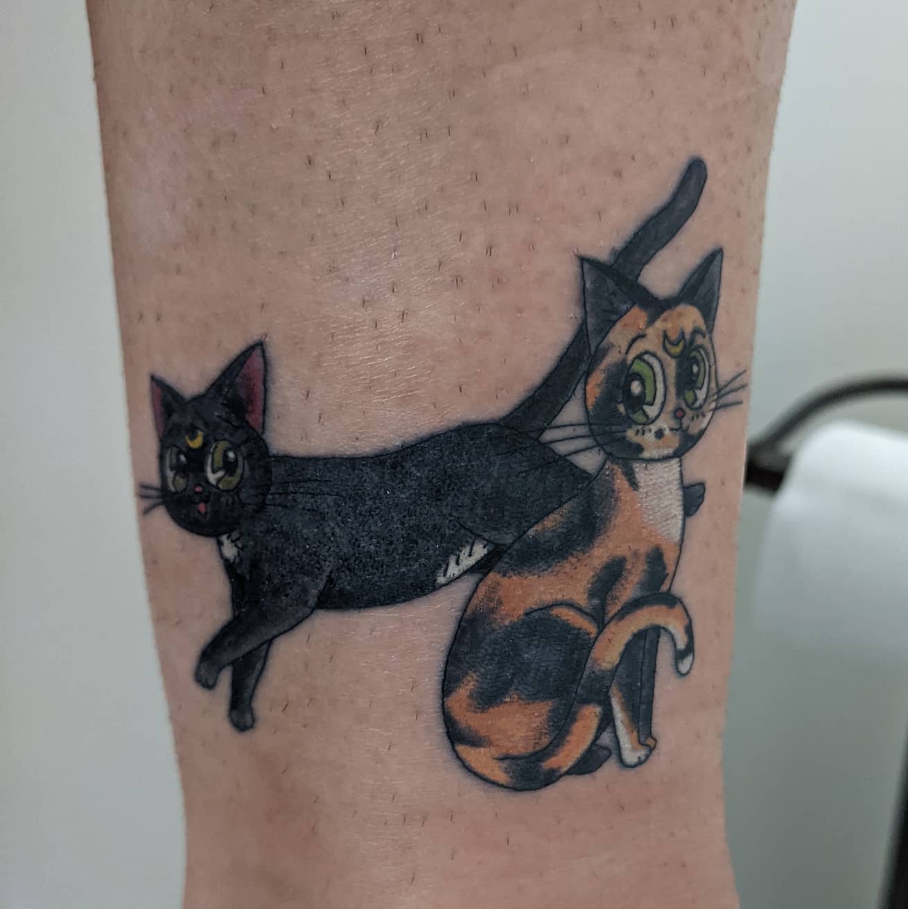 Hopping On The Tattoo Band Wagon - Got My Two Cats Done In The Sailor Moon Style, Complete With Half Moon Bald Spots! Done By Chris Mahoney At Speakeasy Tattoo In Peekskill