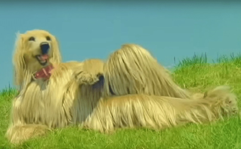 Insane Japanese commercial r/uncannyvalley