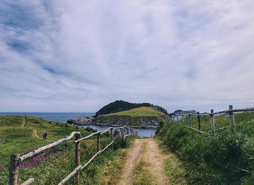 my favourite hiking trail Tors Cove, Newfoundland & Labrador, Canada