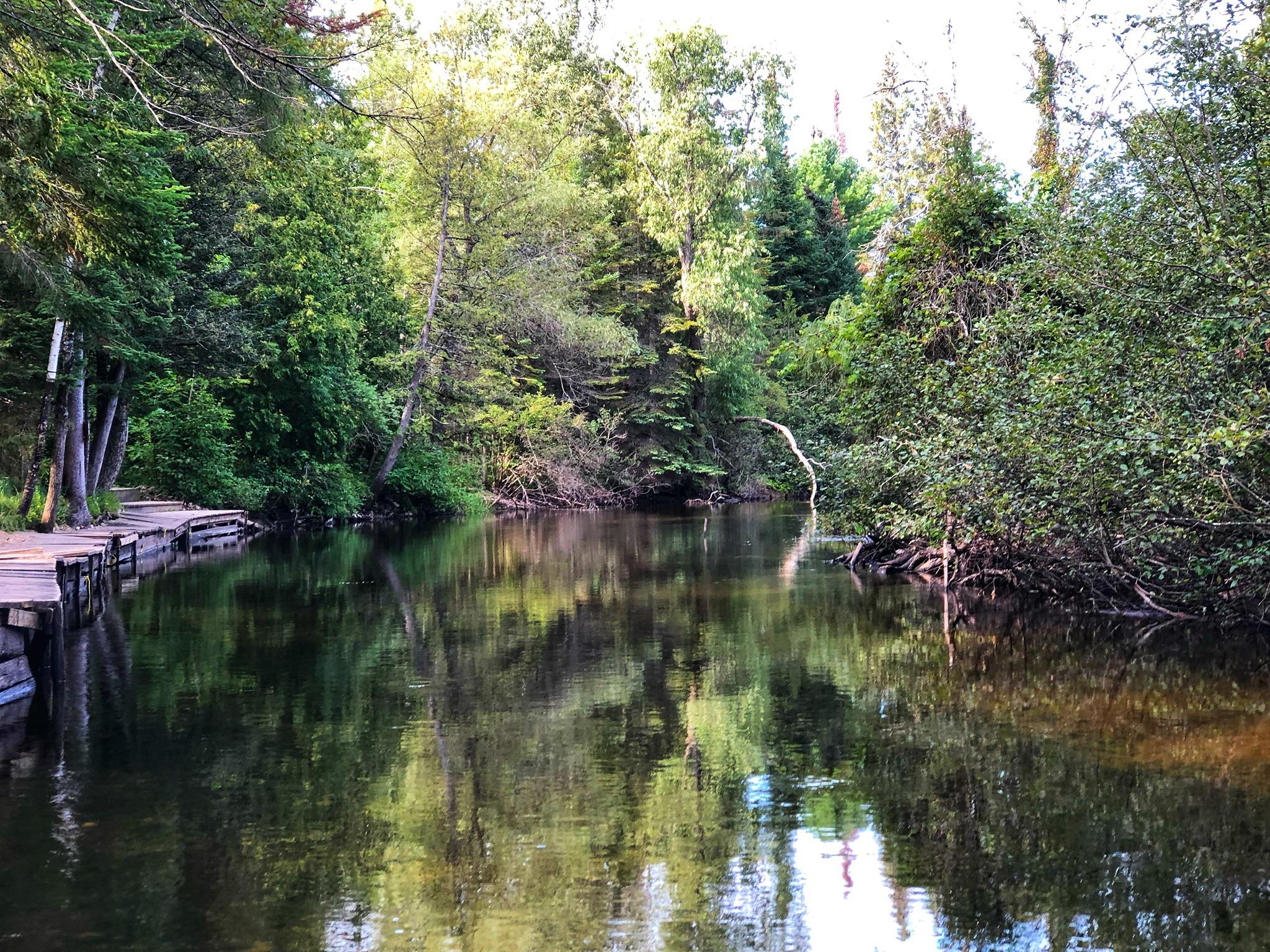 South Branch AuSable River r/CampAndHikeMichigan