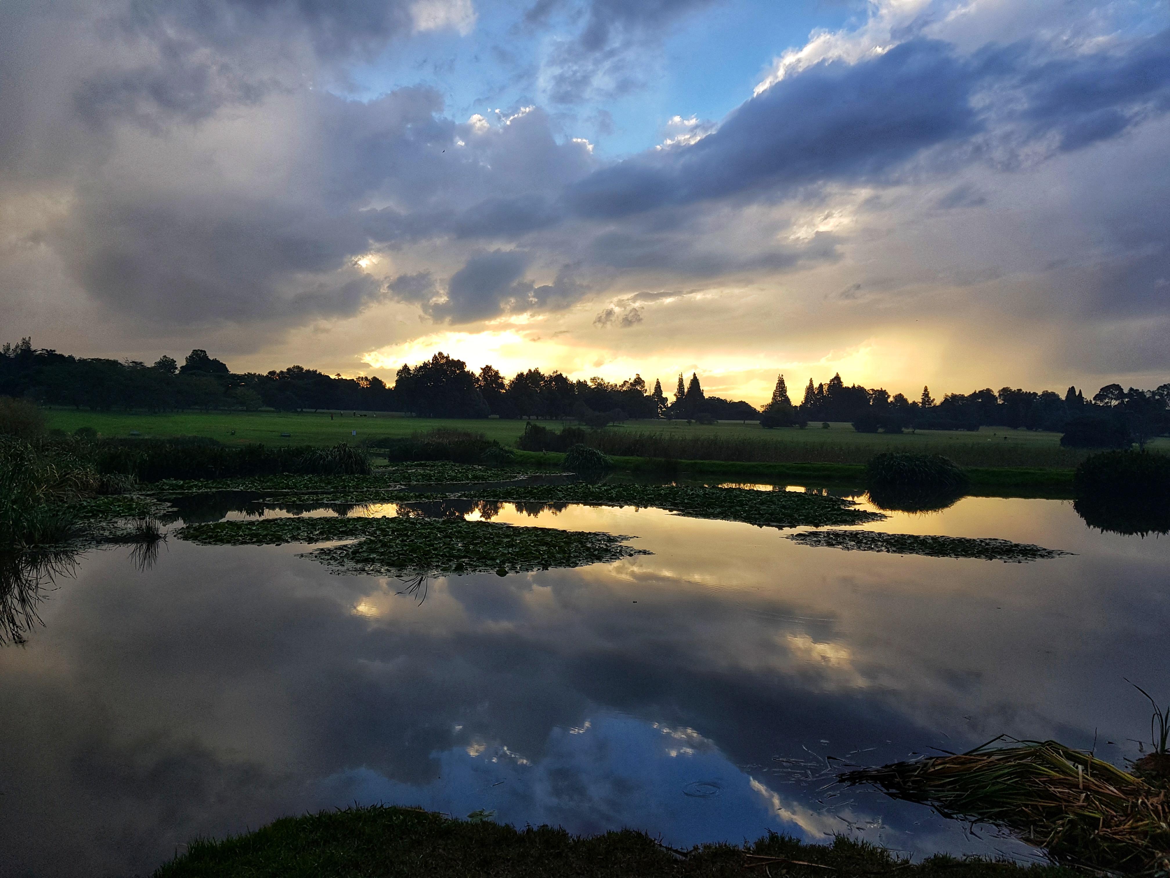 Johannesburg Botanical Gardens, sunset over the Braamfontein spruit 🌅🌳