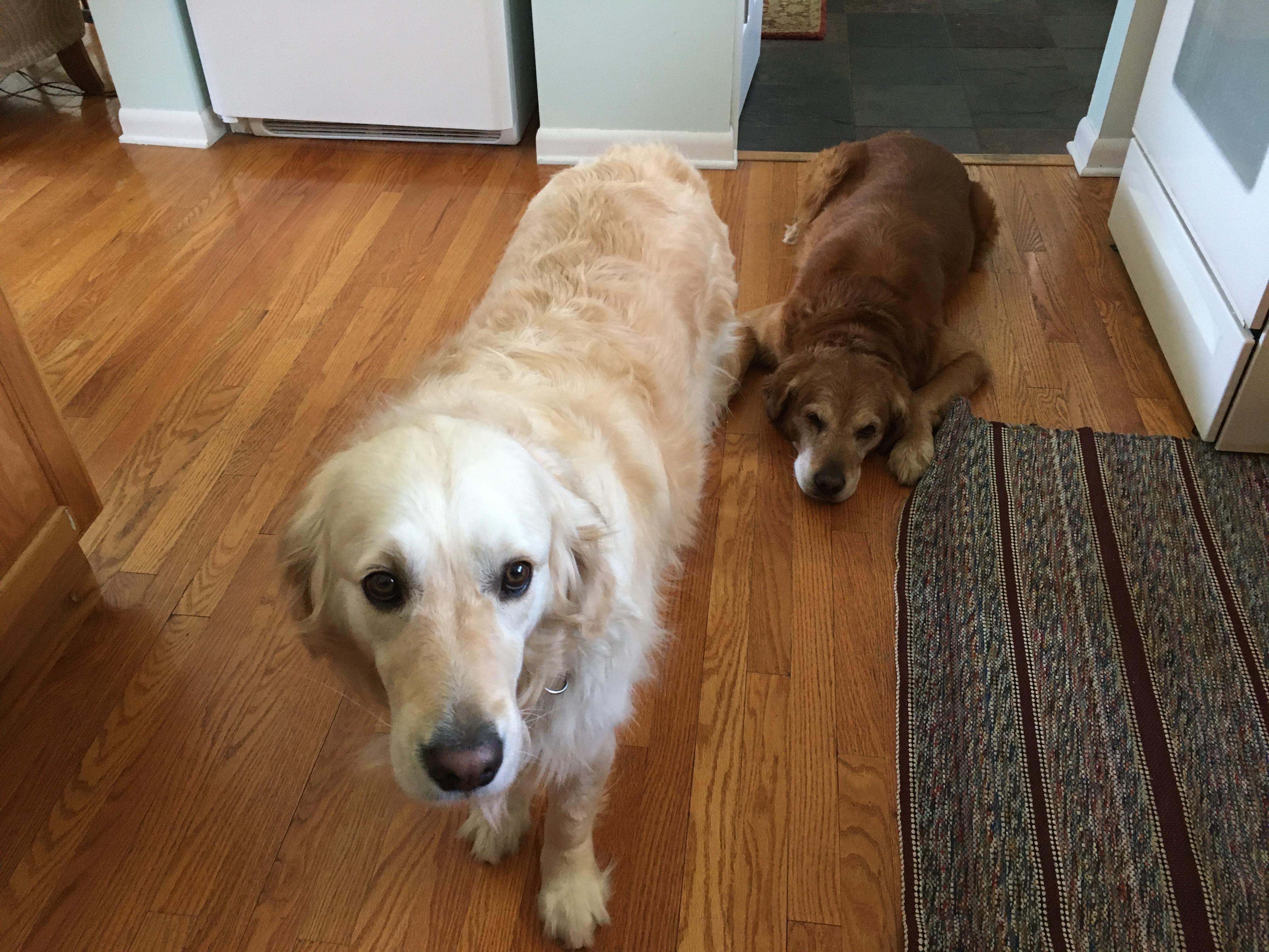 “Soo are you gonna drop all that food on the floor, or what’s going on