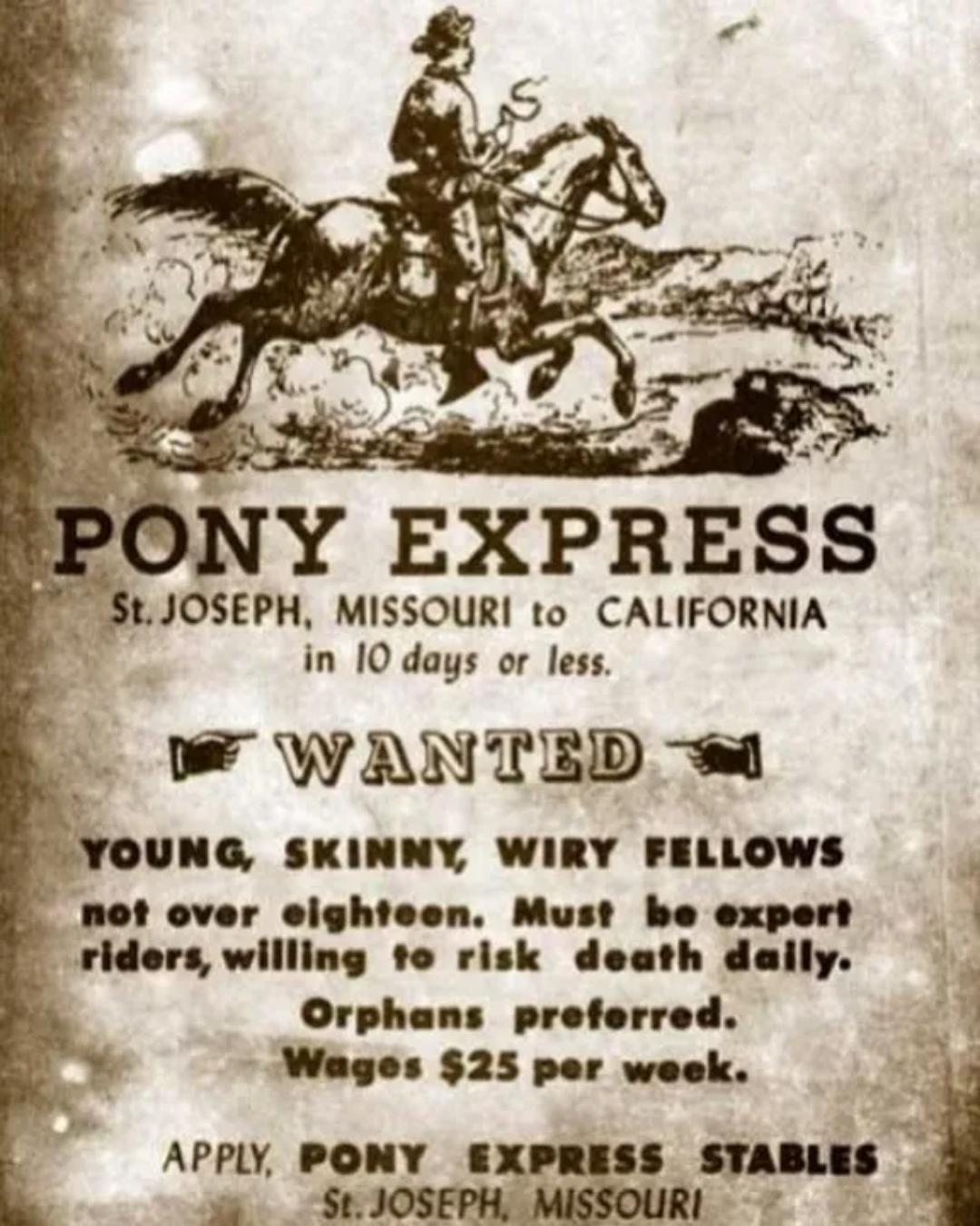 prepony express usa Reddit post and comment search SocialGrep