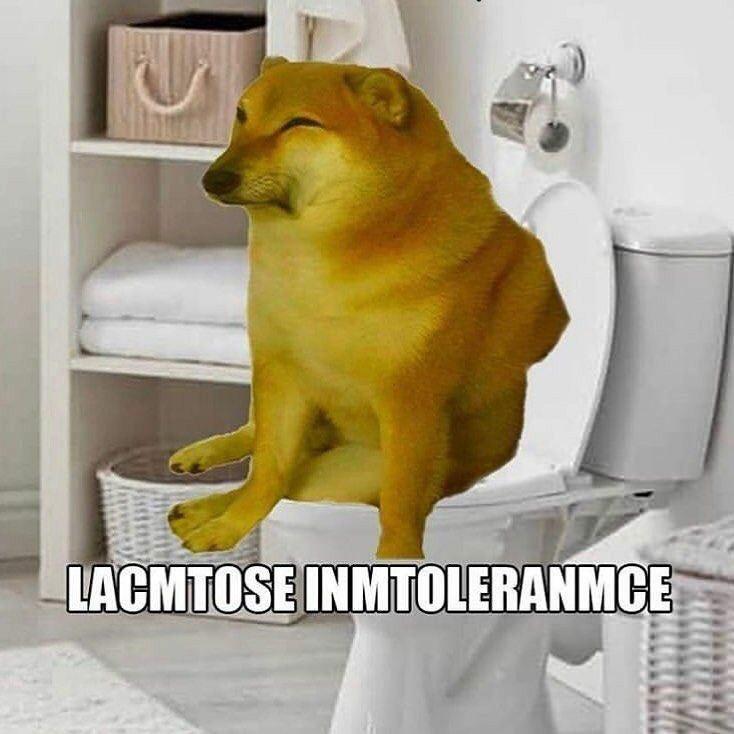 why is it called the restroom, i’m literally fighting for my life in